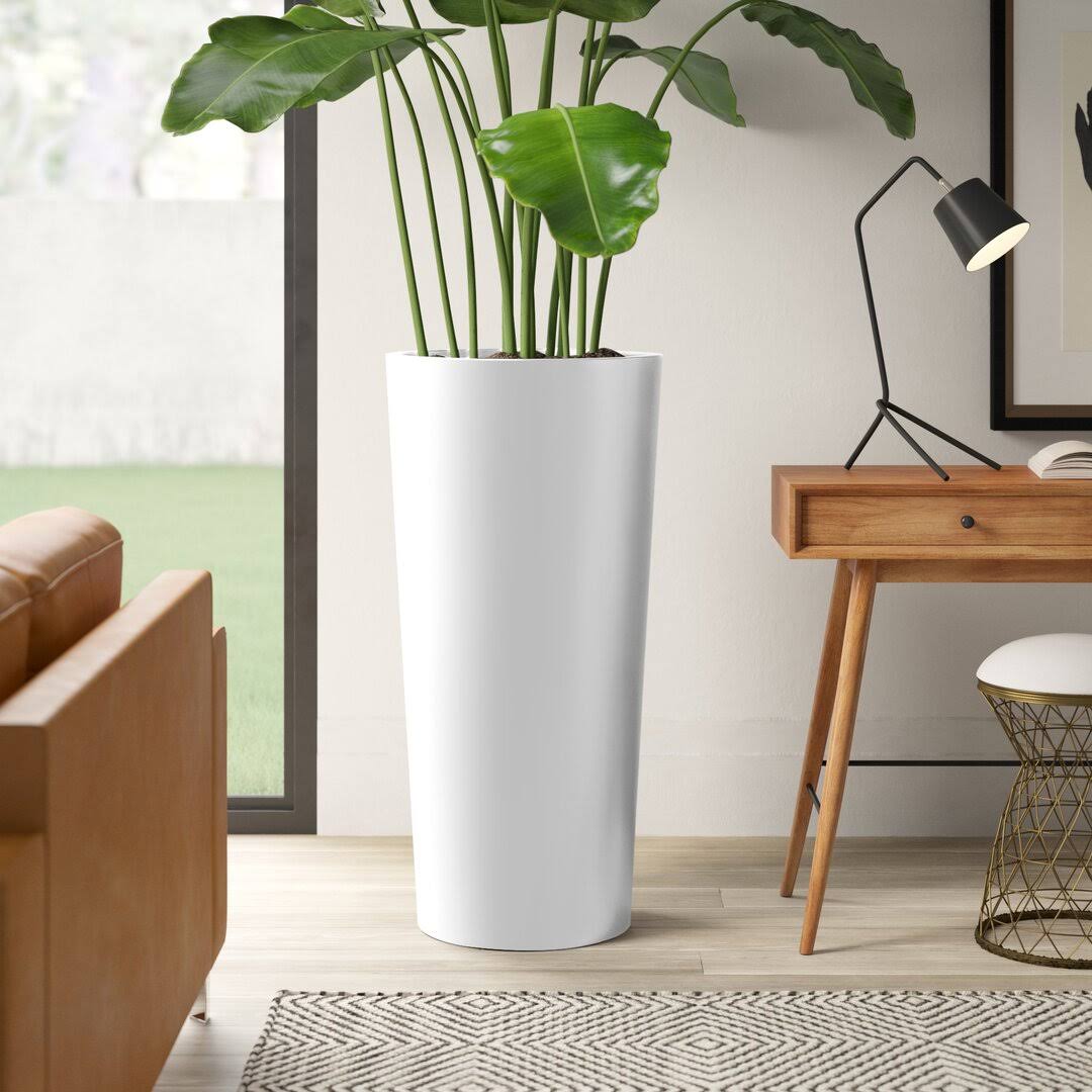 Mercury Row Sheley Fiberglass Pot Planter Color: White, Size: 26