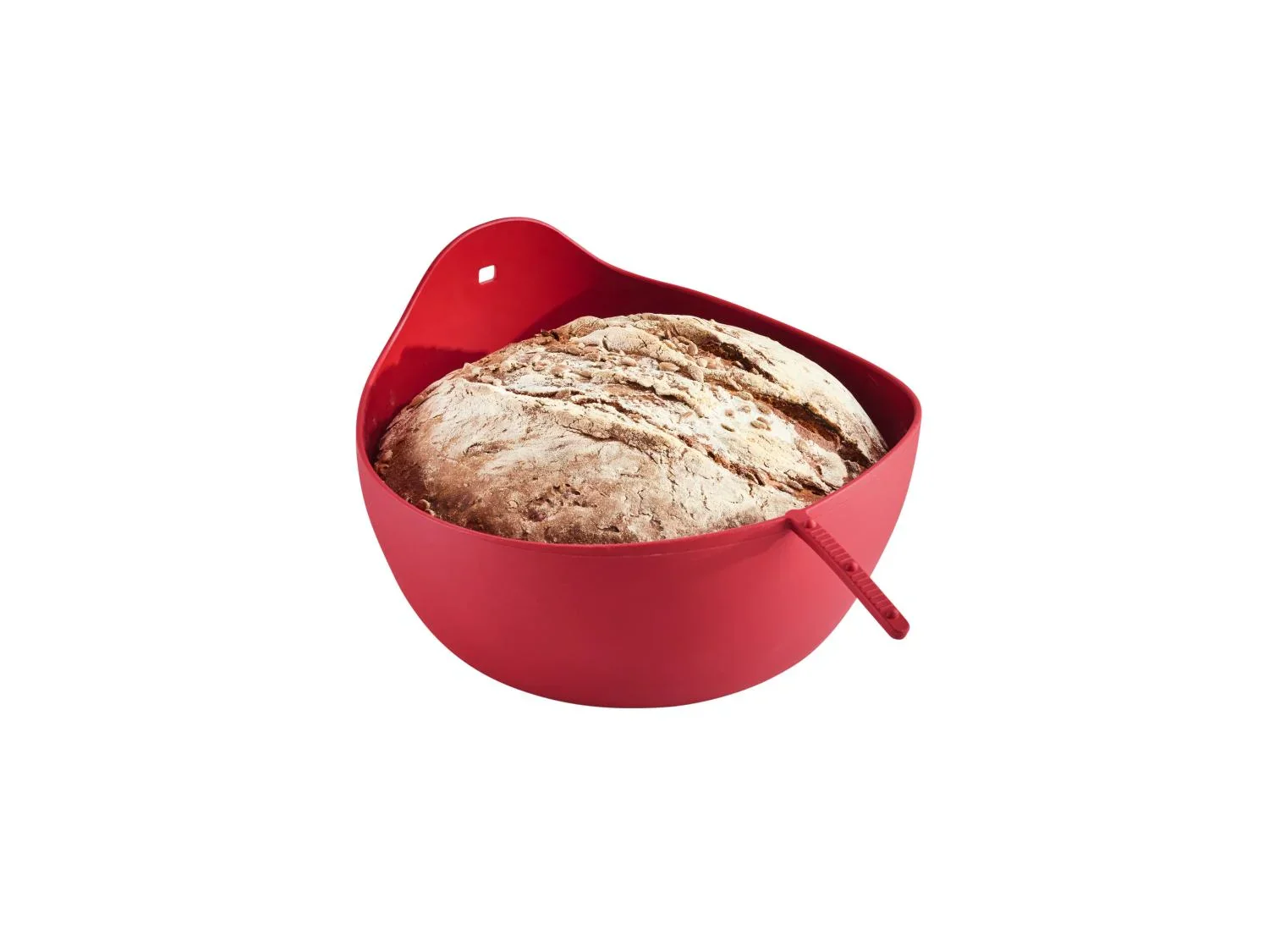SILVERCREST Moules  ptisserie