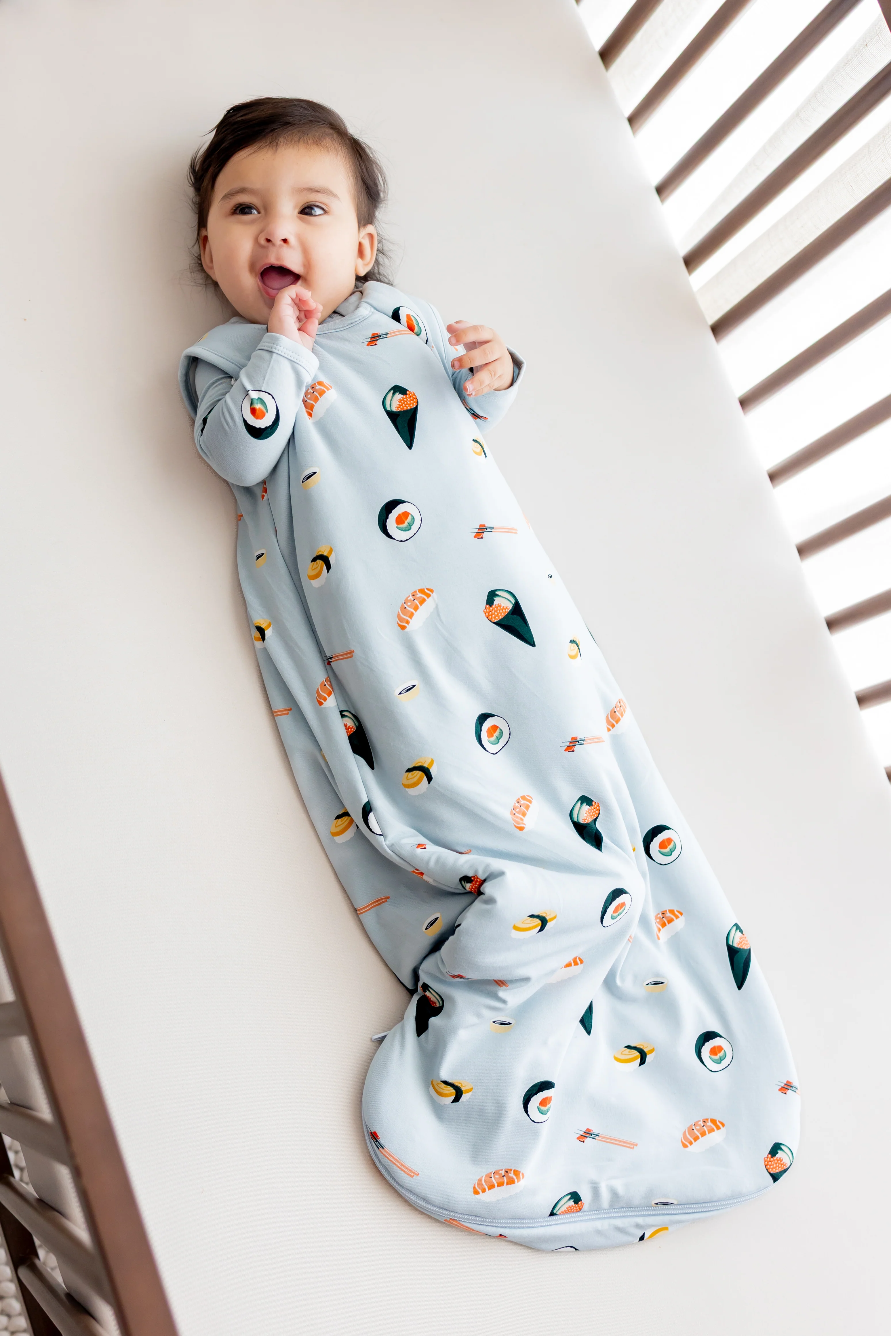 Sleep Bag in Ice Sushi 1.0