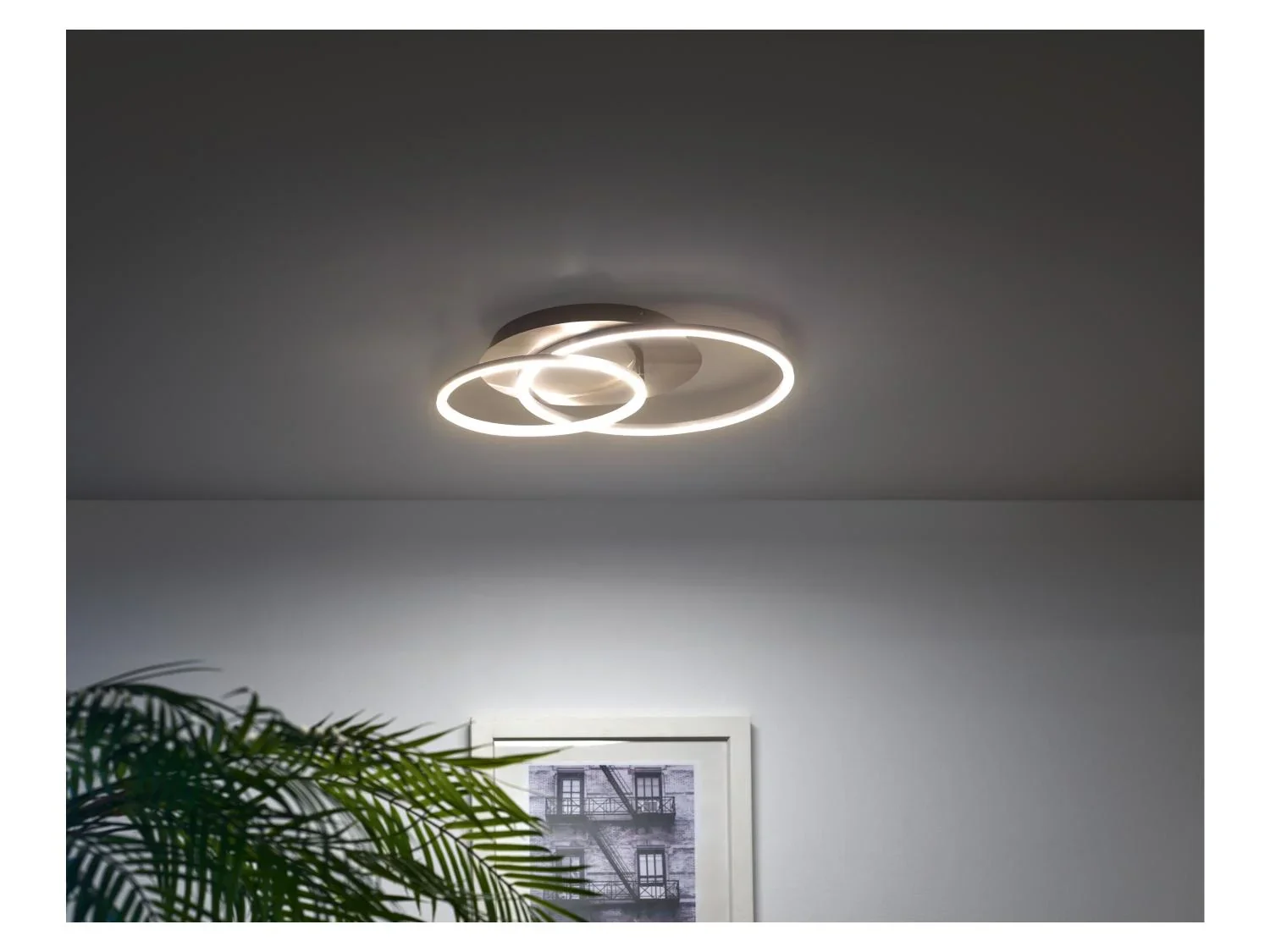 LIVARNO home Plafonnier ou applique murale  LED
