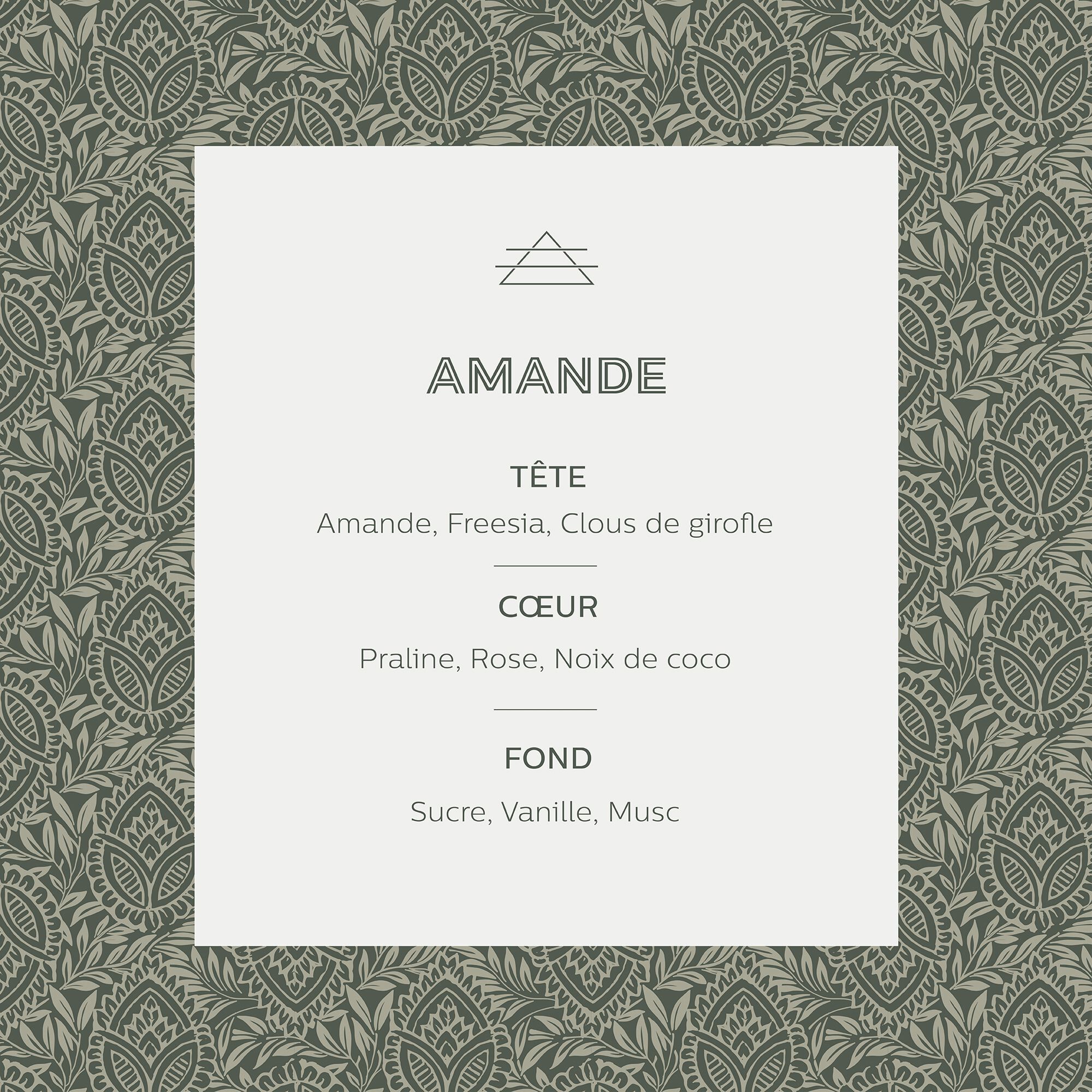 SIGNATURE - Bougie parfumée senteur Amande 160g