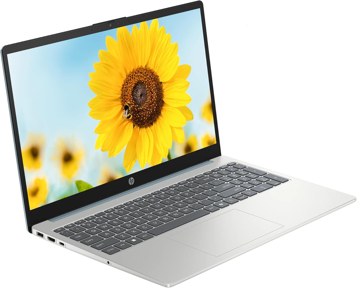 HP 15.6