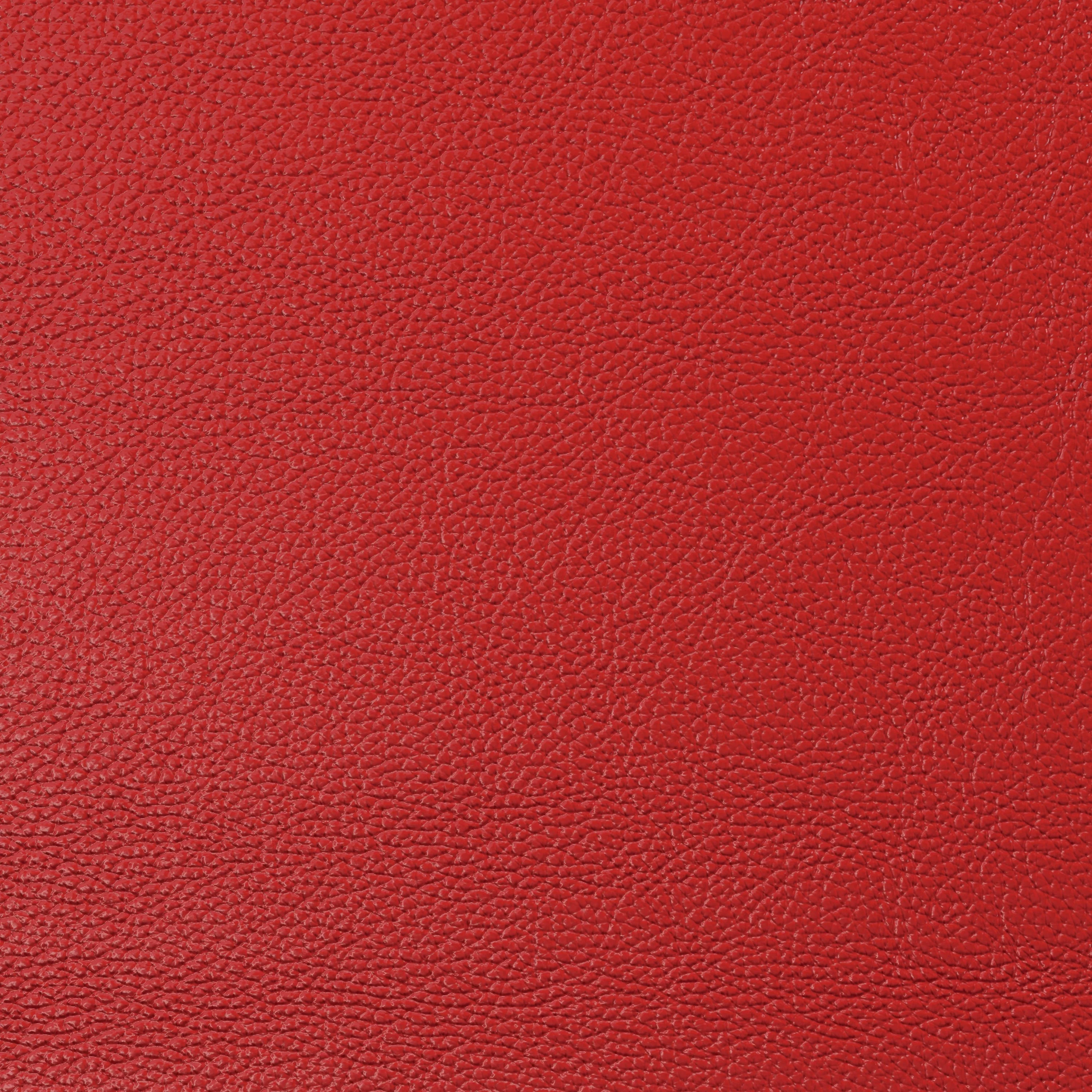 Boyd Sleep Luxembourg Upholstered Faux Leather Platform Bed, Queen, Red(Twin/Black)
