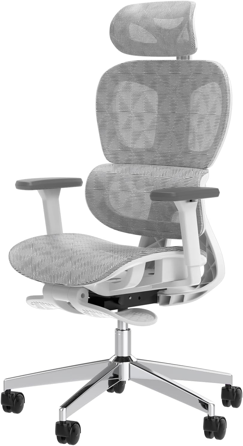Ergo3D Ergonomic Office Chair  High Back Mesh Desk Chair with 3D Adjustable Armrests, Wheels, for Home and Office (Black)
