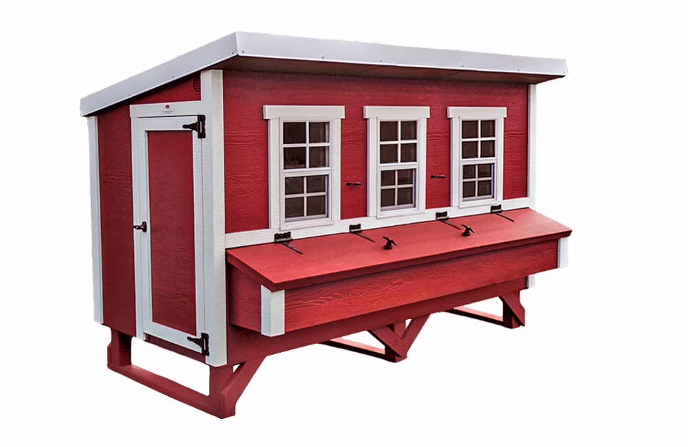 Chicken Coop XL | Hatching Time