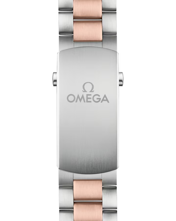 Seamaster Planet Ocean 600M 45.5mm