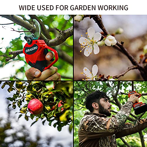 Dragro Professional Cordless Electric Pruning Shears