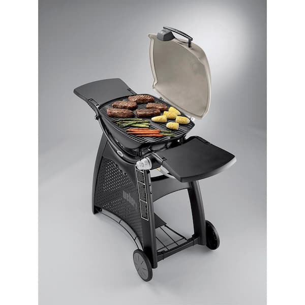 Q 3200 2 Burner Propane Gas Grill in Titanium with Built In Thermomter Image 8