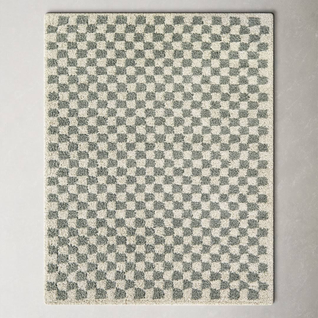 Walker Checkered Sage/Cream Shag Area Rug AllModern Rug Size: Rectangle 6'7