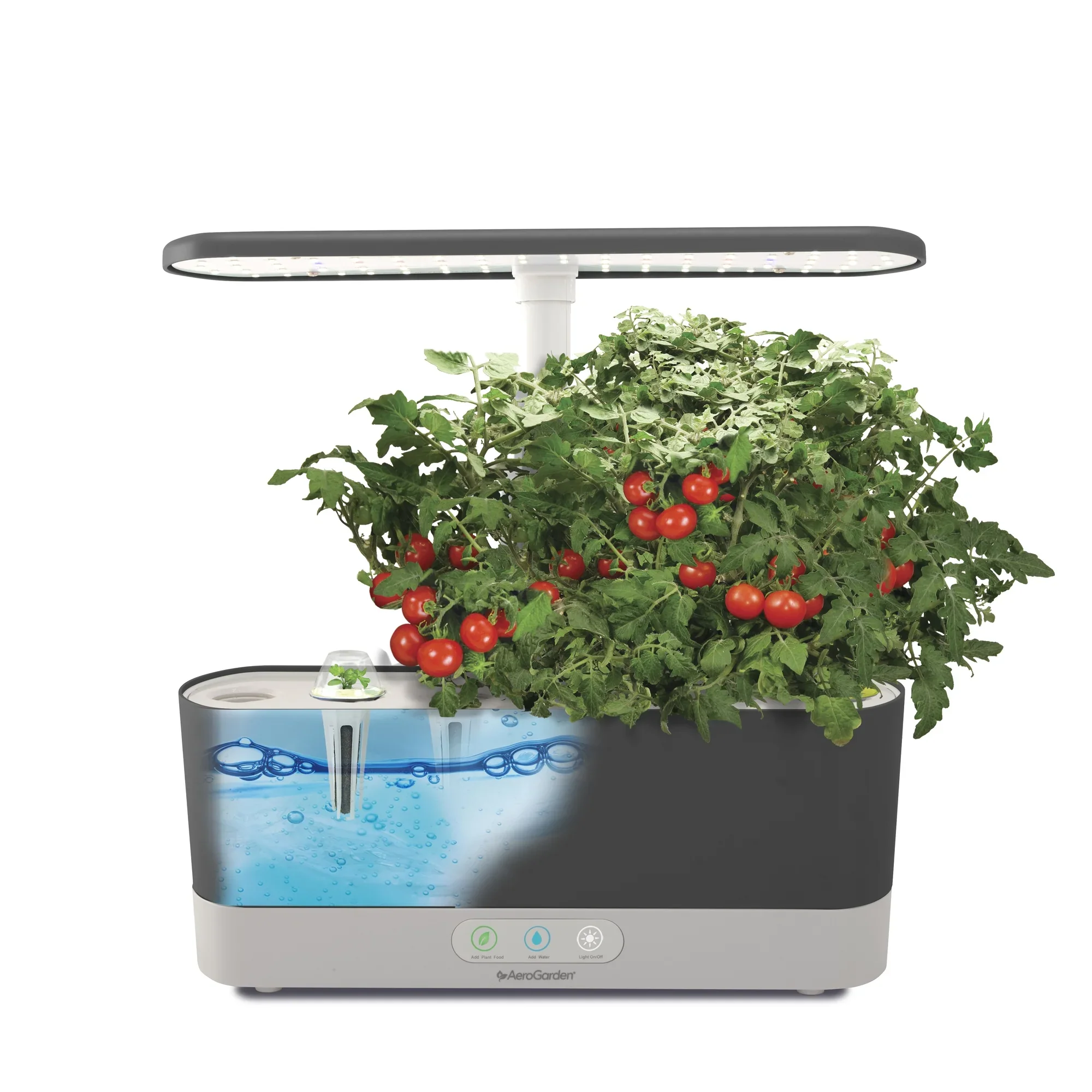 AeroGarden Harvest Slim with Gourmet Herb Seed Pod Kit, Black