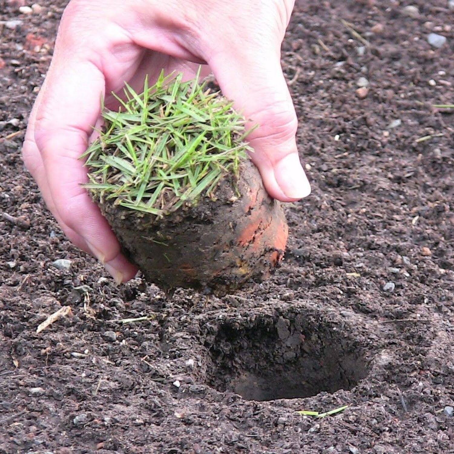 Proplugger 5-in-1 Planting Tool