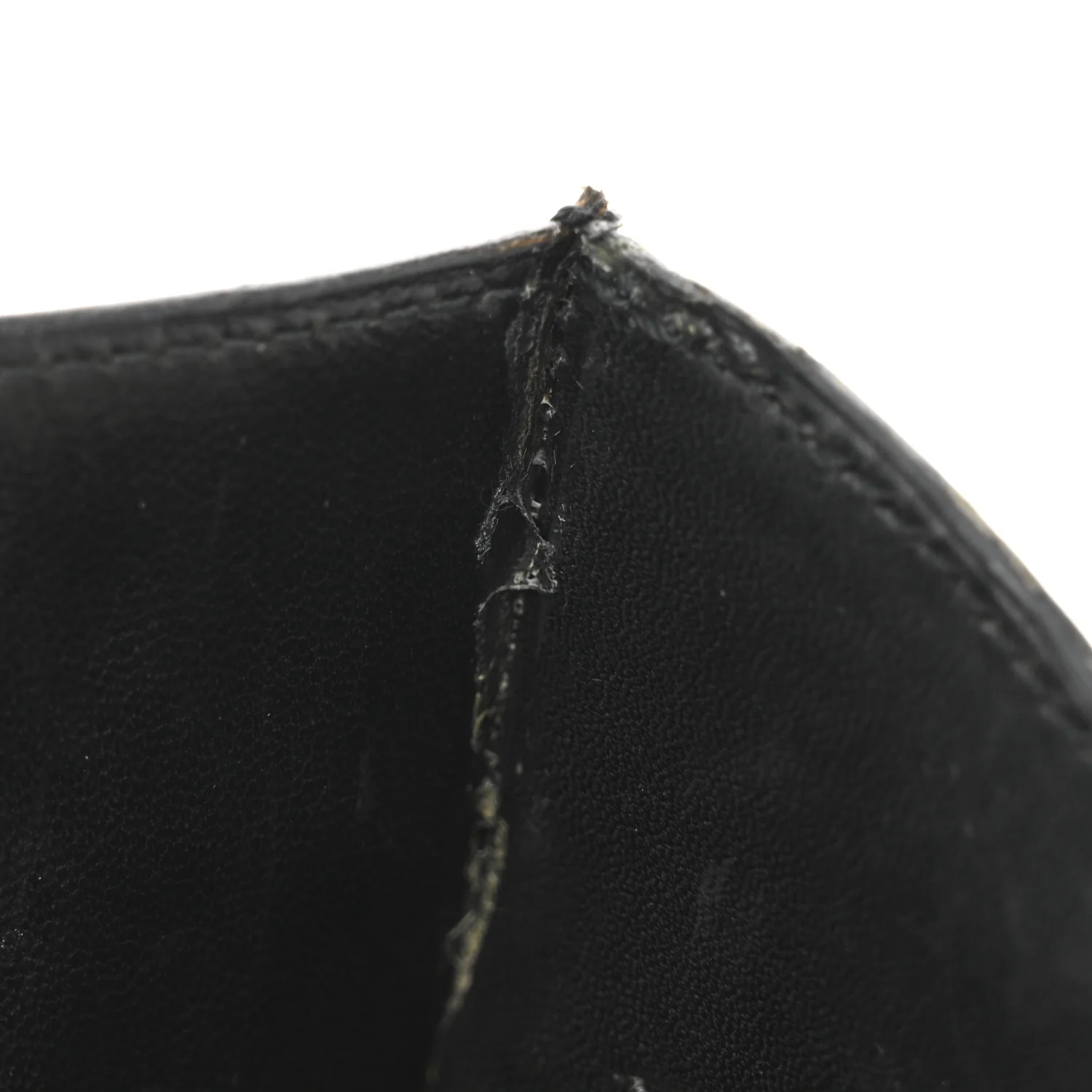 Shiny Caiman Crocodile Constance 23 Black