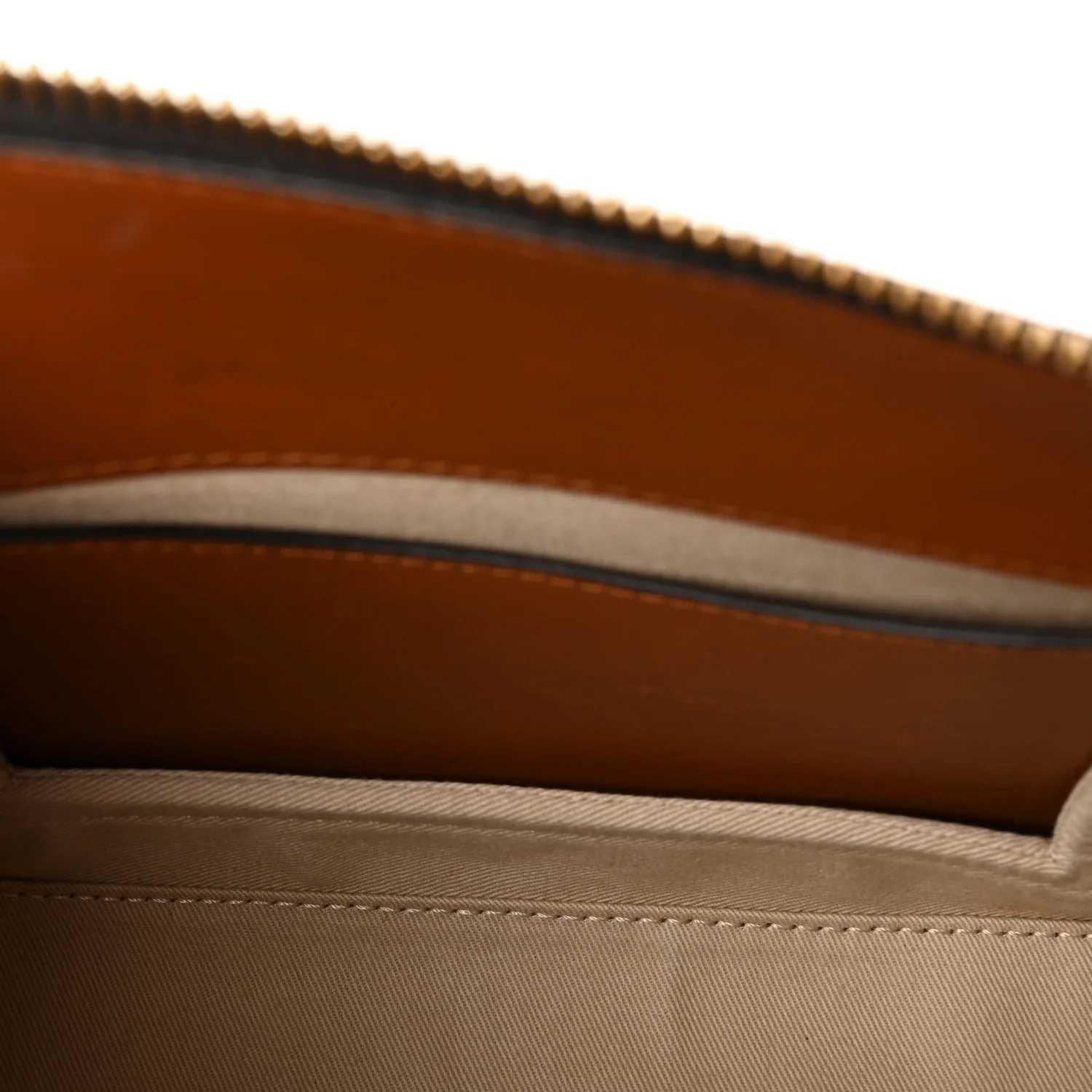 Calfskin Snakeskin Embossed Small Roy Bag Multicolor