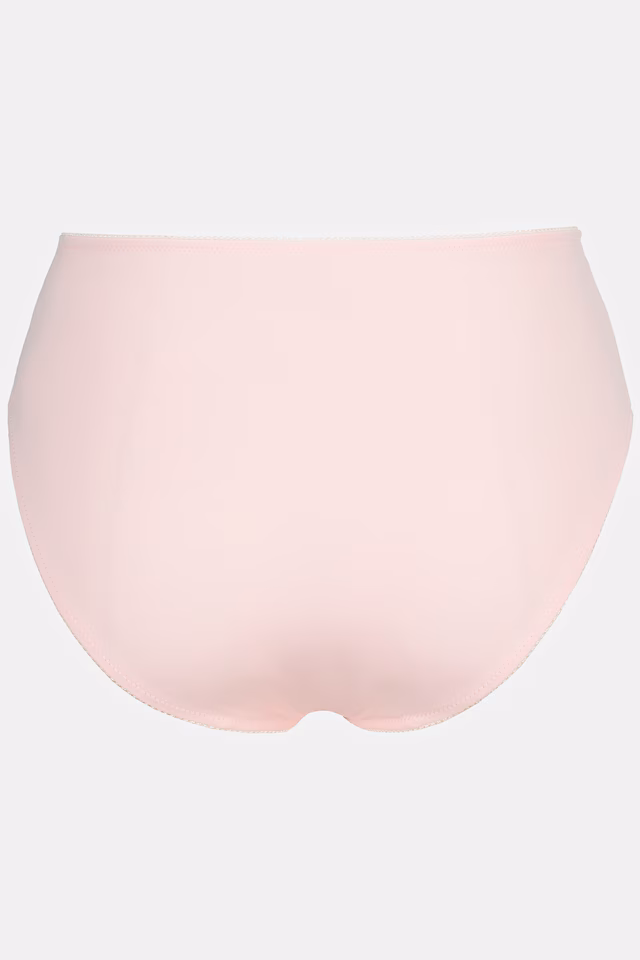 Lace Trim Seam Detail Stretch Microfiber Panty