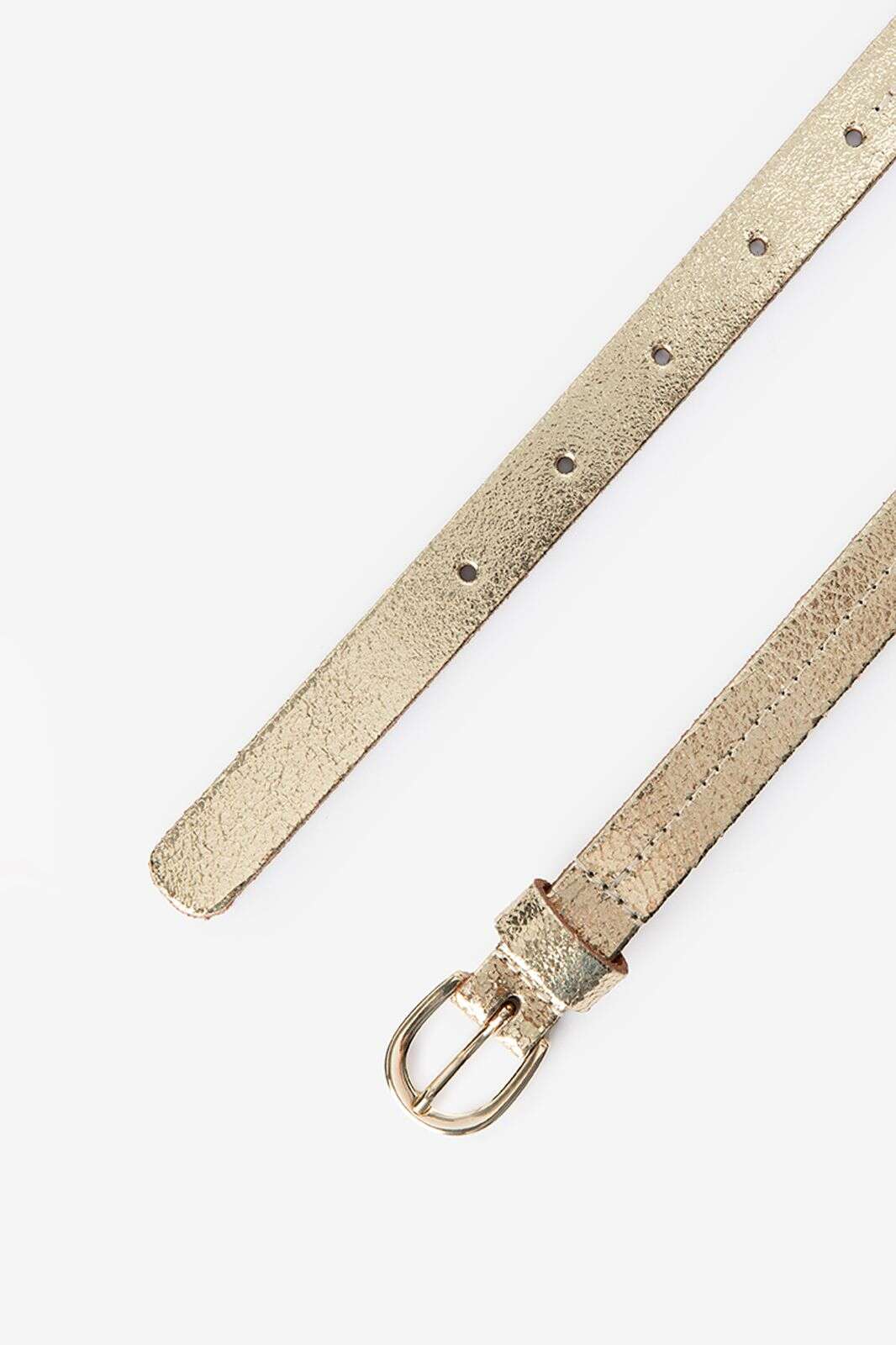 Gouden riem met goudkleurige gesp