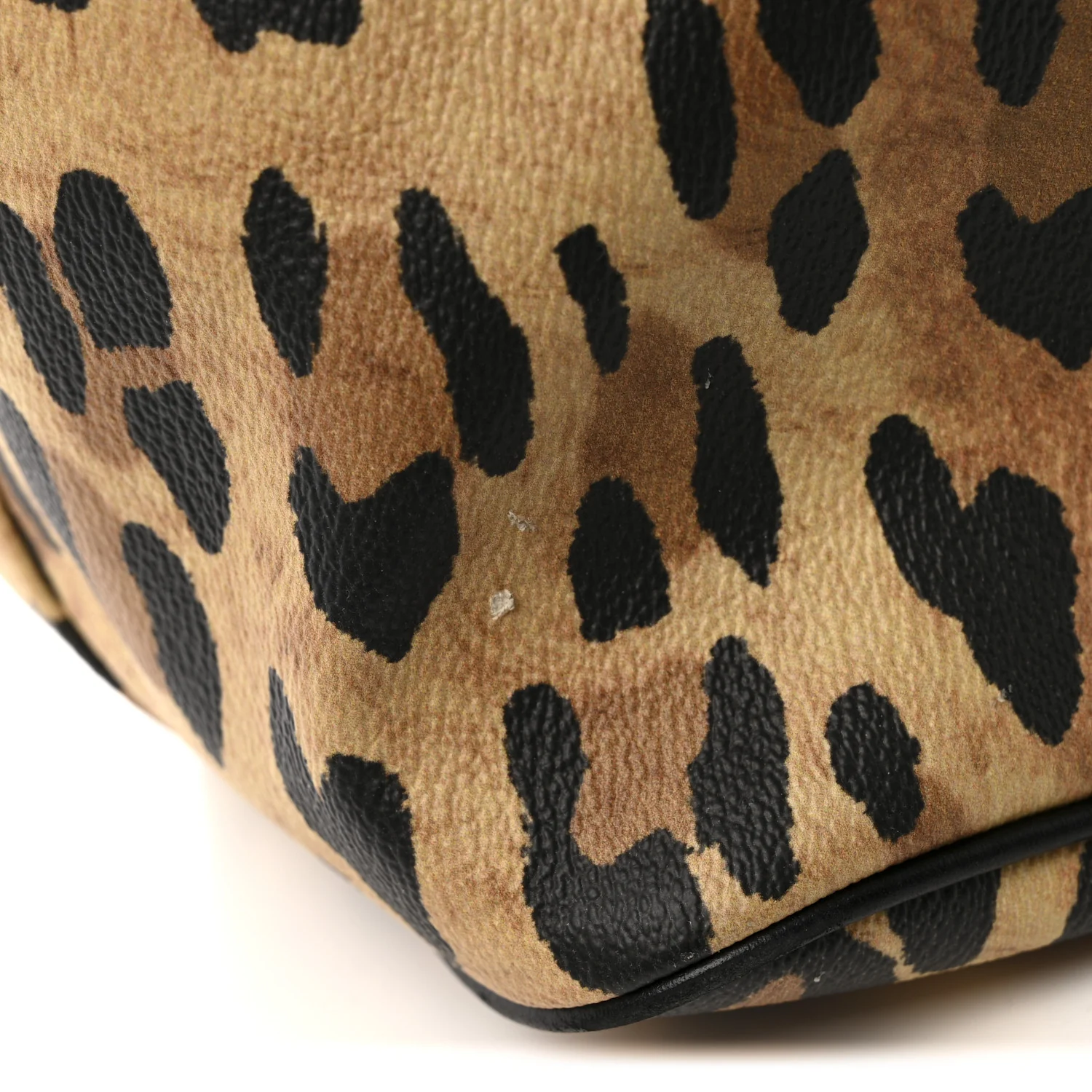 Textured Coated Canvas Leopard Print Large Antigona Tote