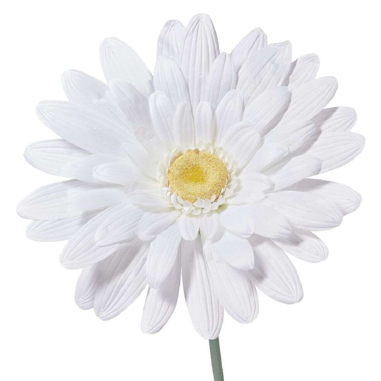 Fleur artificielle blanche marguerite tige XXL H150cm