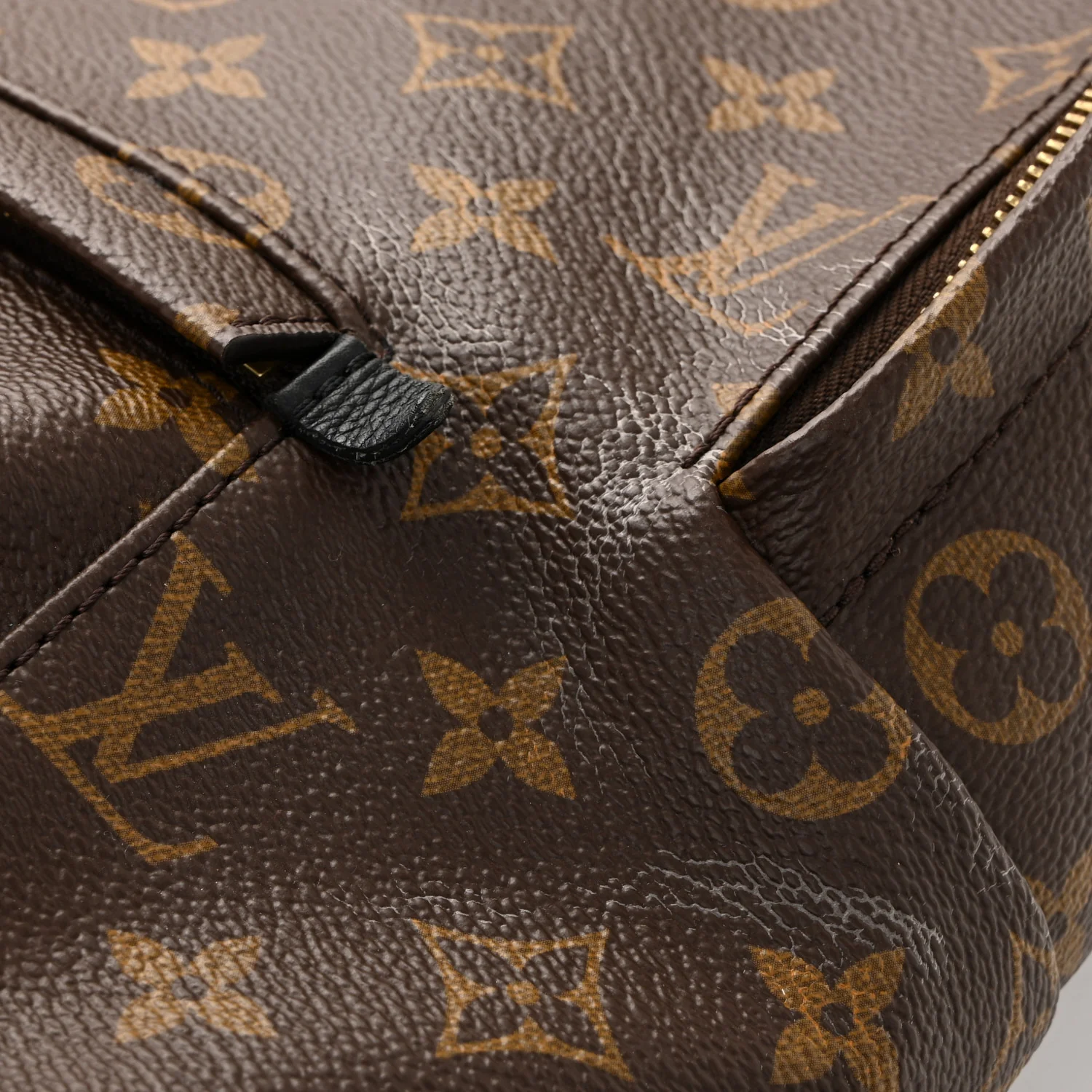 Monogram Palm Springs Backpack MM