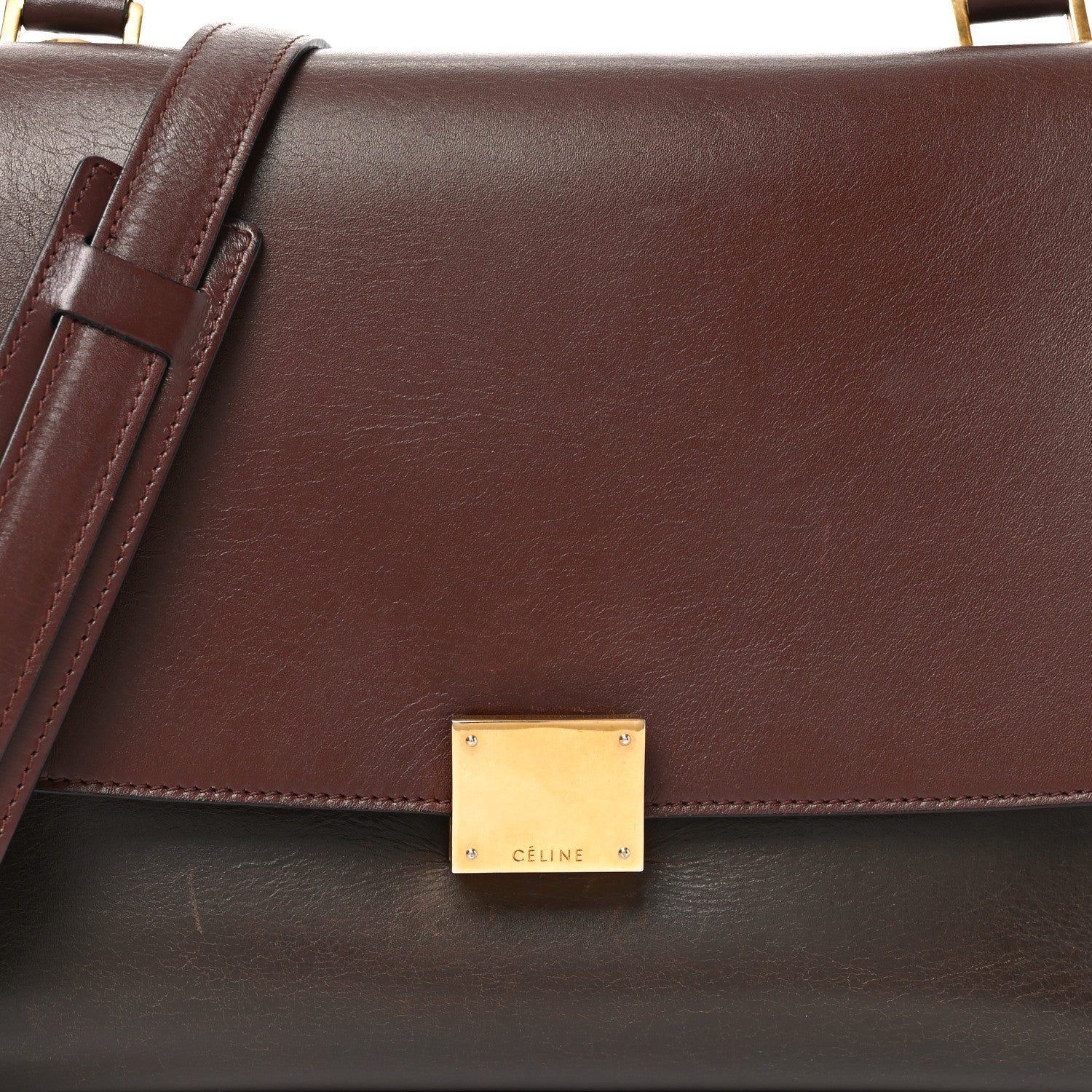 Sleek Calfskin Tri-color Small Trapeze Wine