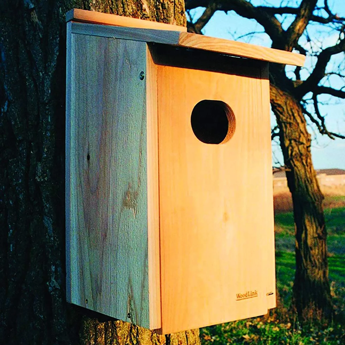 Cedar Wood Duck Nesting Box for Wetland Locations, Easy-Open Front, Fully Assembled(1) - Image 2
