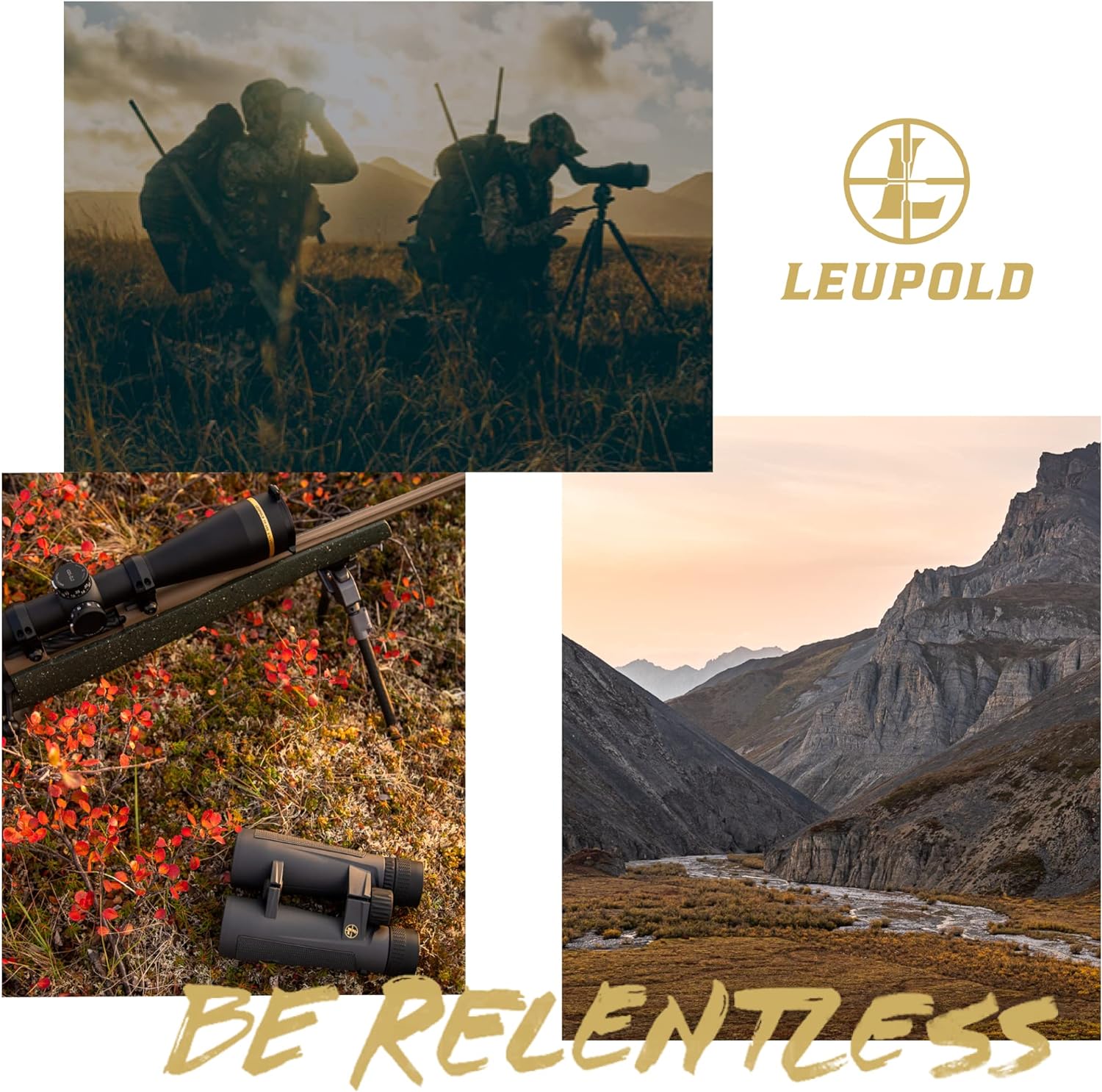 Leupold BX-2 Alpine HD Binoculars  10x42mm (181177)