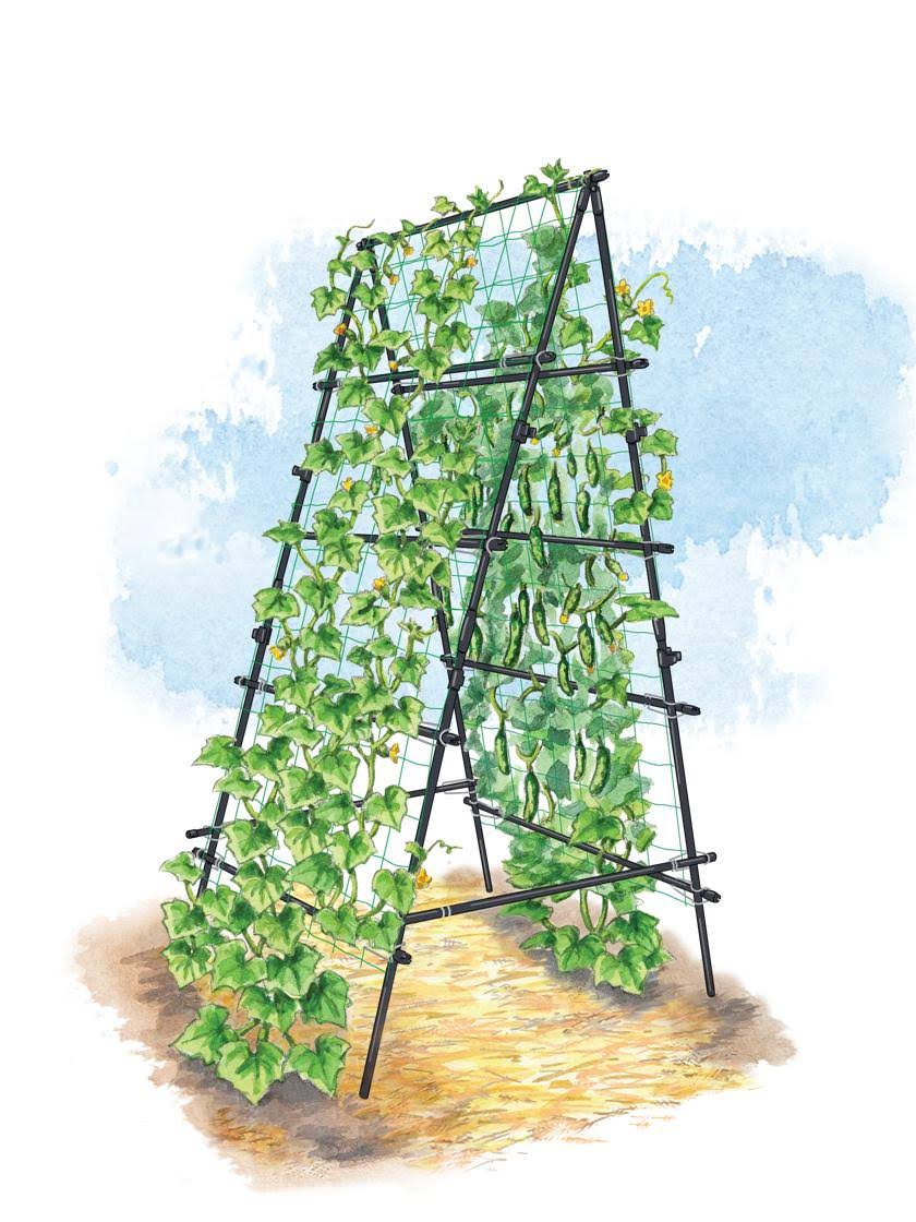 Titan A-Frame Trellis Strong Lightweight Metal Garden Trellis