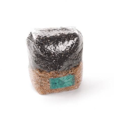 Alll-in-one Mushroom Grow Bag 5 Pounds - Sterilized Mushroom Media with Injection Port. 3 Bags
