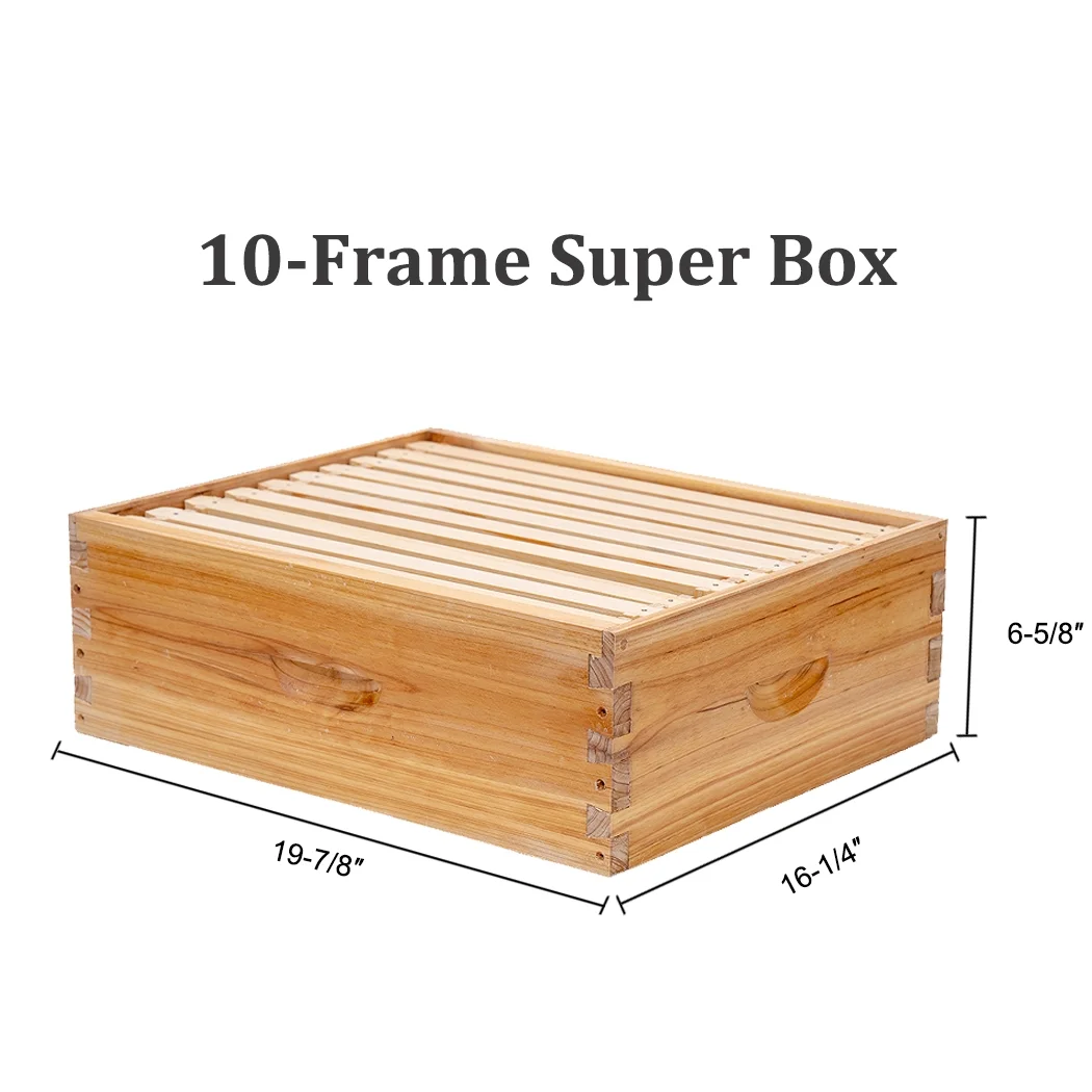 Bee Castle 10 - Frame Beeswaxed Complete Bee Hives Kit with 2 Deep Box and 1 Medium Box