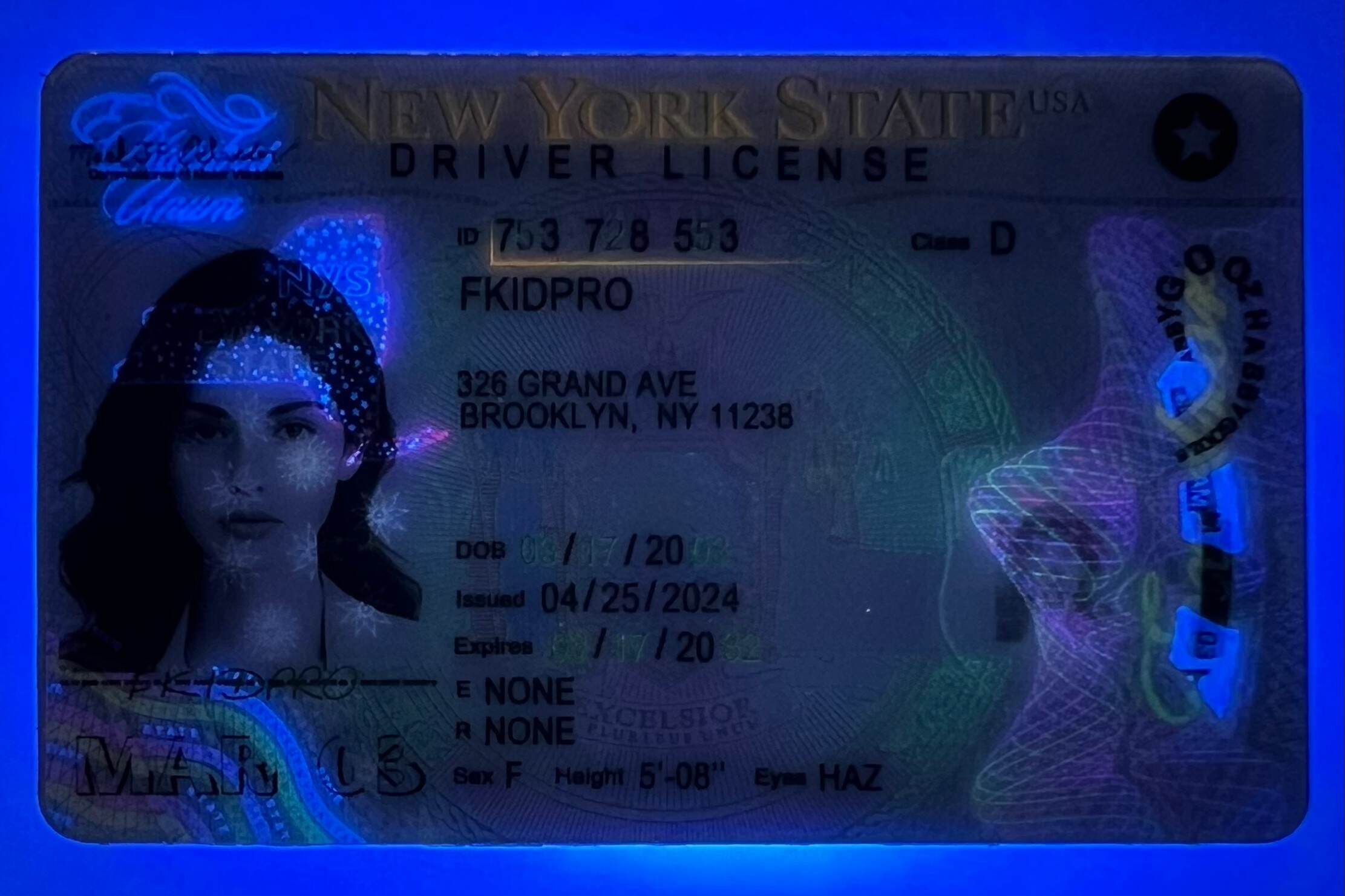 New York ID (Latest Version)