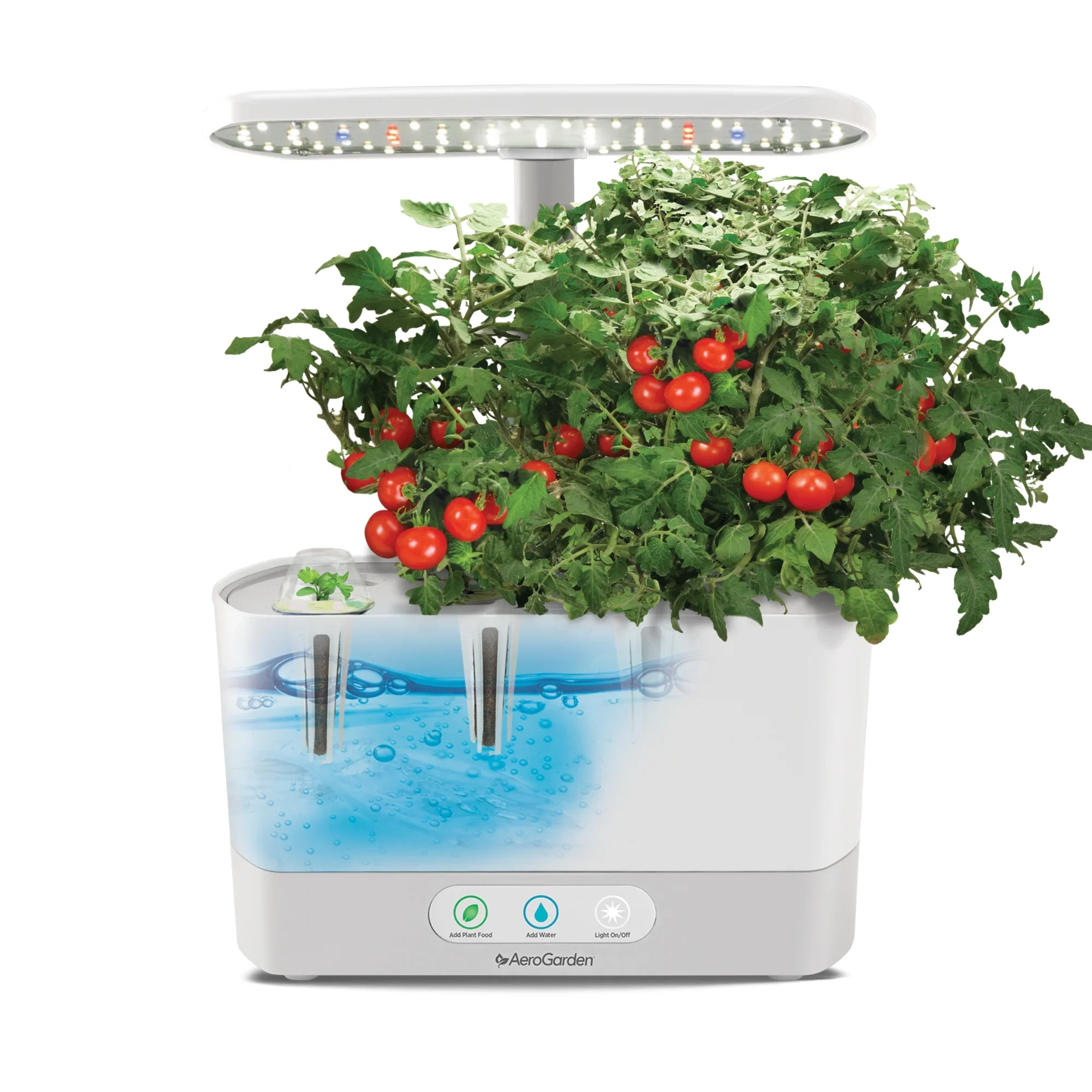 AeroGarden Harvest, White with Gourmet Herbs Seed Kit