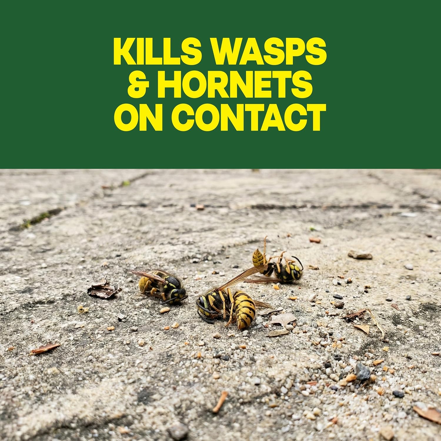 Raid Wasp & Hornet Killer Spray, Bug Killer Kills the Entire Nest, 14 Oz, 2 Count