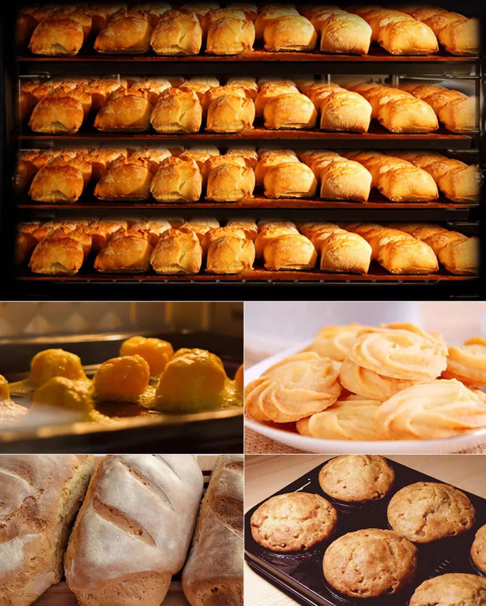 60 L Commercial Countertop Convection Spray Oven 4 Racks Hot Air Circulation Electric Oven 220V