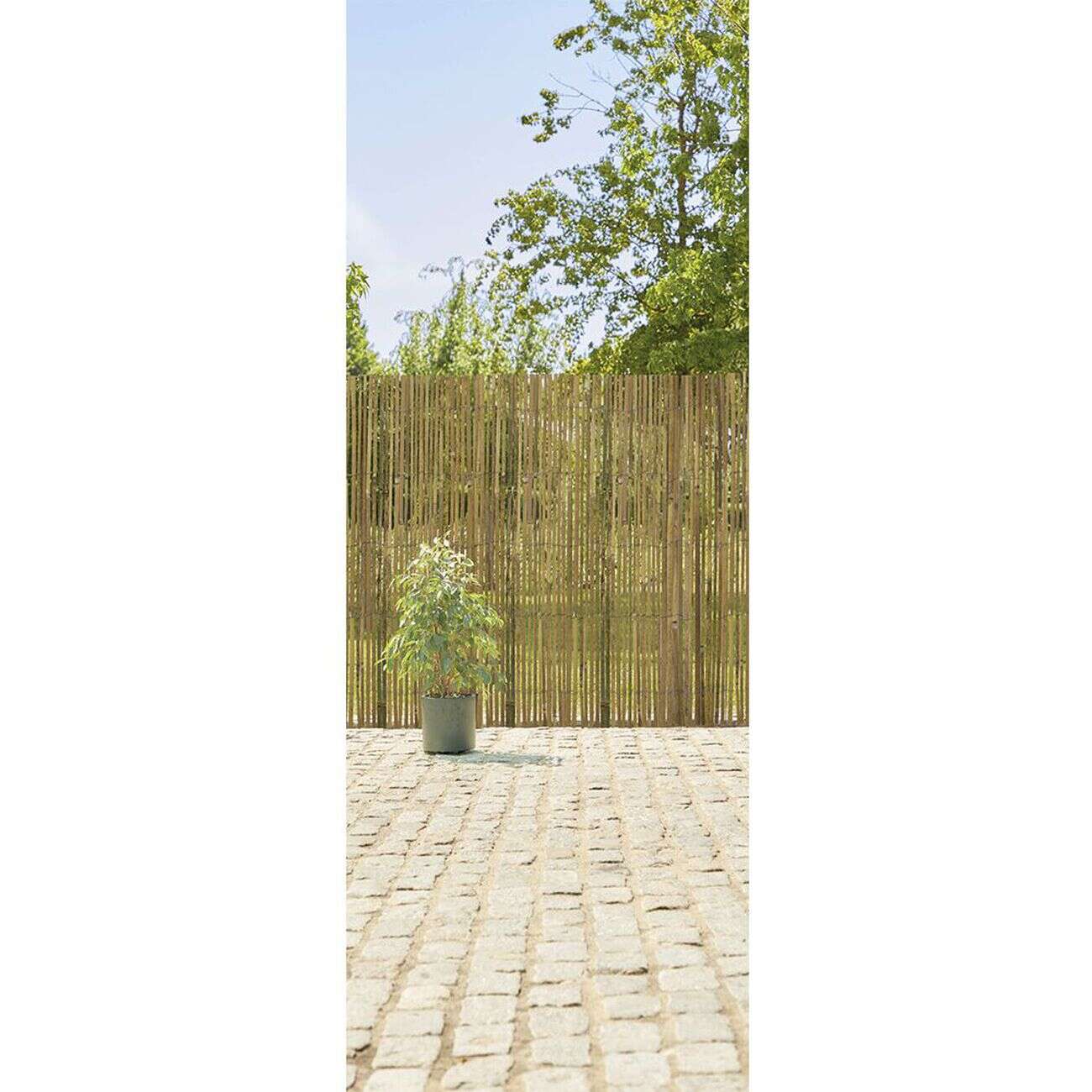 Canisse bambou fendu naturel L.500xH.150cm