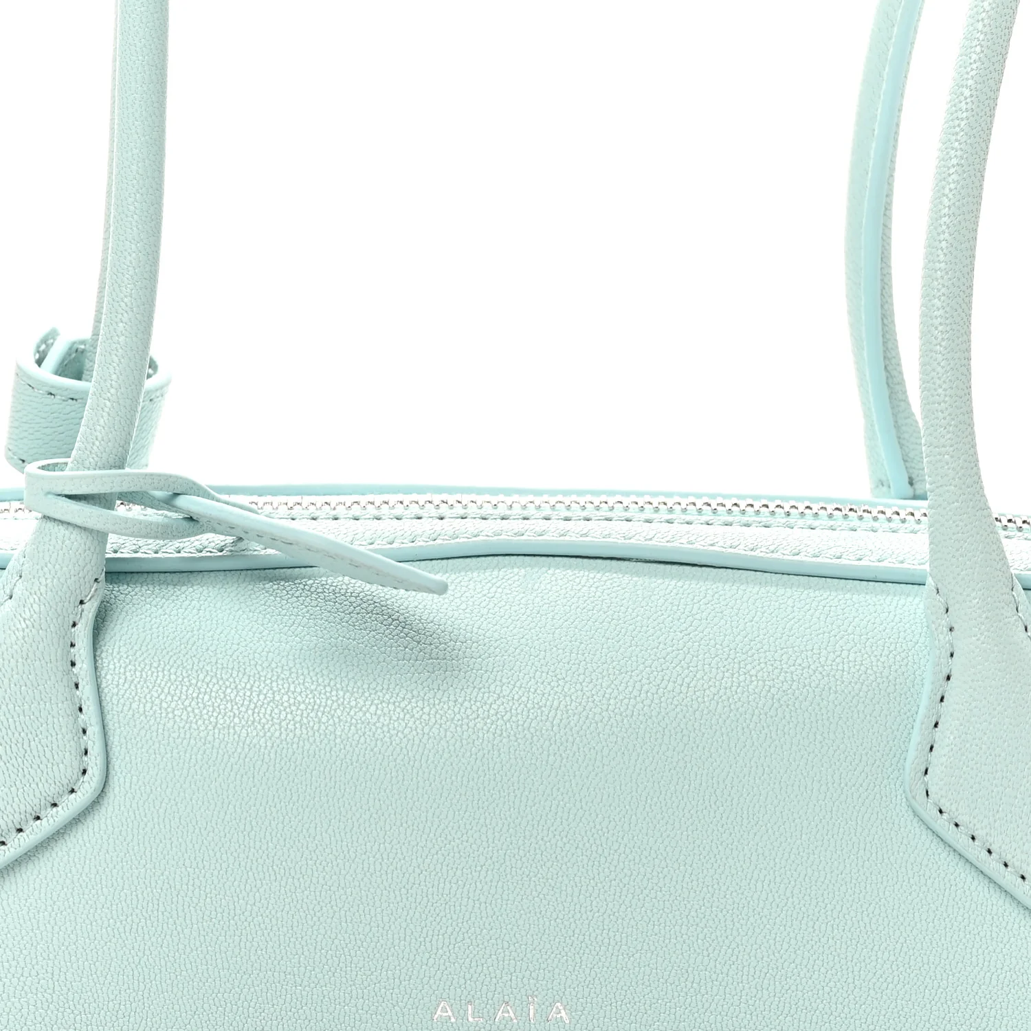 Goatskin Small Le Teckel Bag Lagon