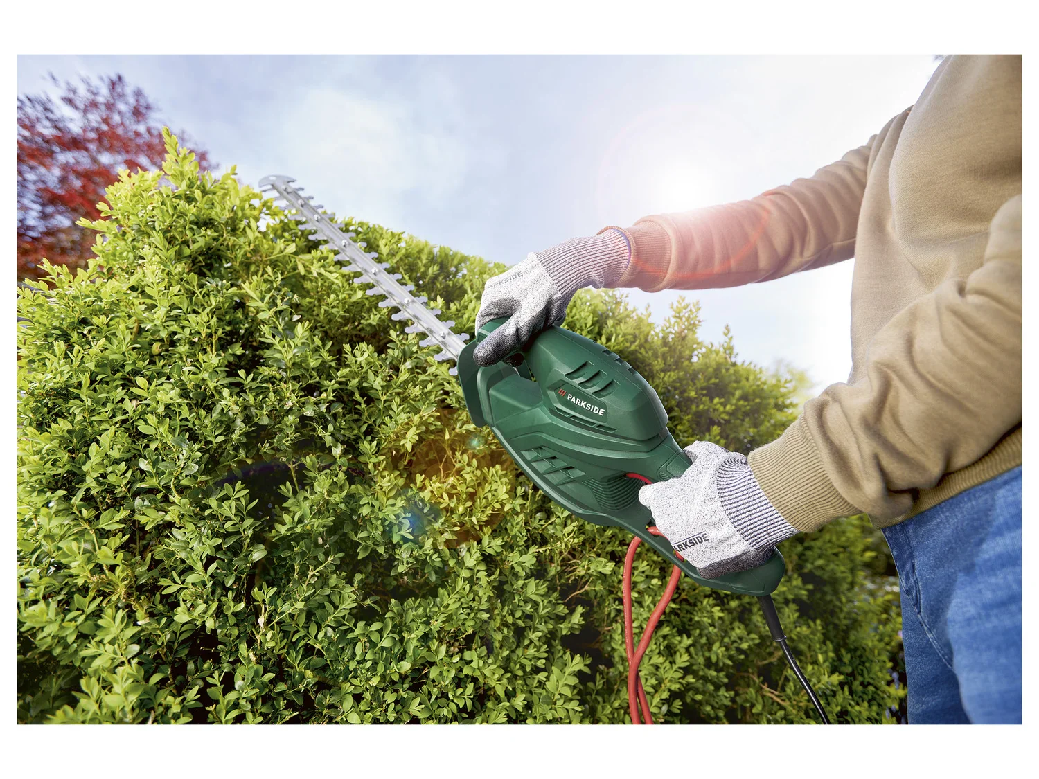 PARKSIDE Taille-haies lectrique PHS 450 A1, 450 W