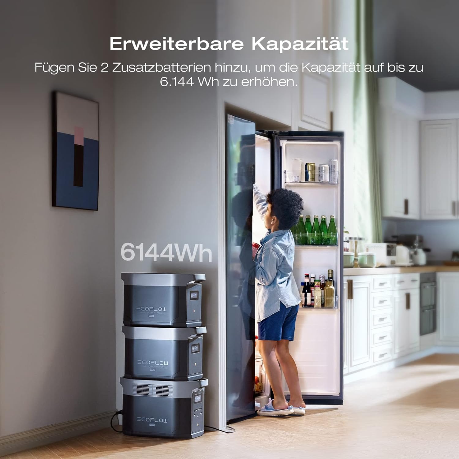 EcoFlow DELTA 2 Max tragbare Powerstation 2048Wh, erweiterbar 2-6 kWh, LFP-Batterie mit 3000 Zyklen, 80% Ladung 1 Std, 3000W Max Ausgangsleistung, Solargenerator für Zuhause, Camping, Wohnmobil