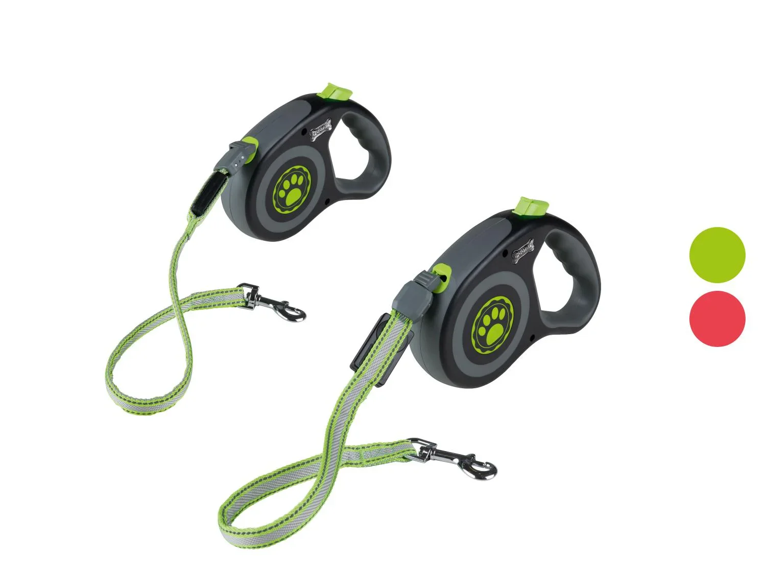 zoofari Laisse enrouleur  LED
