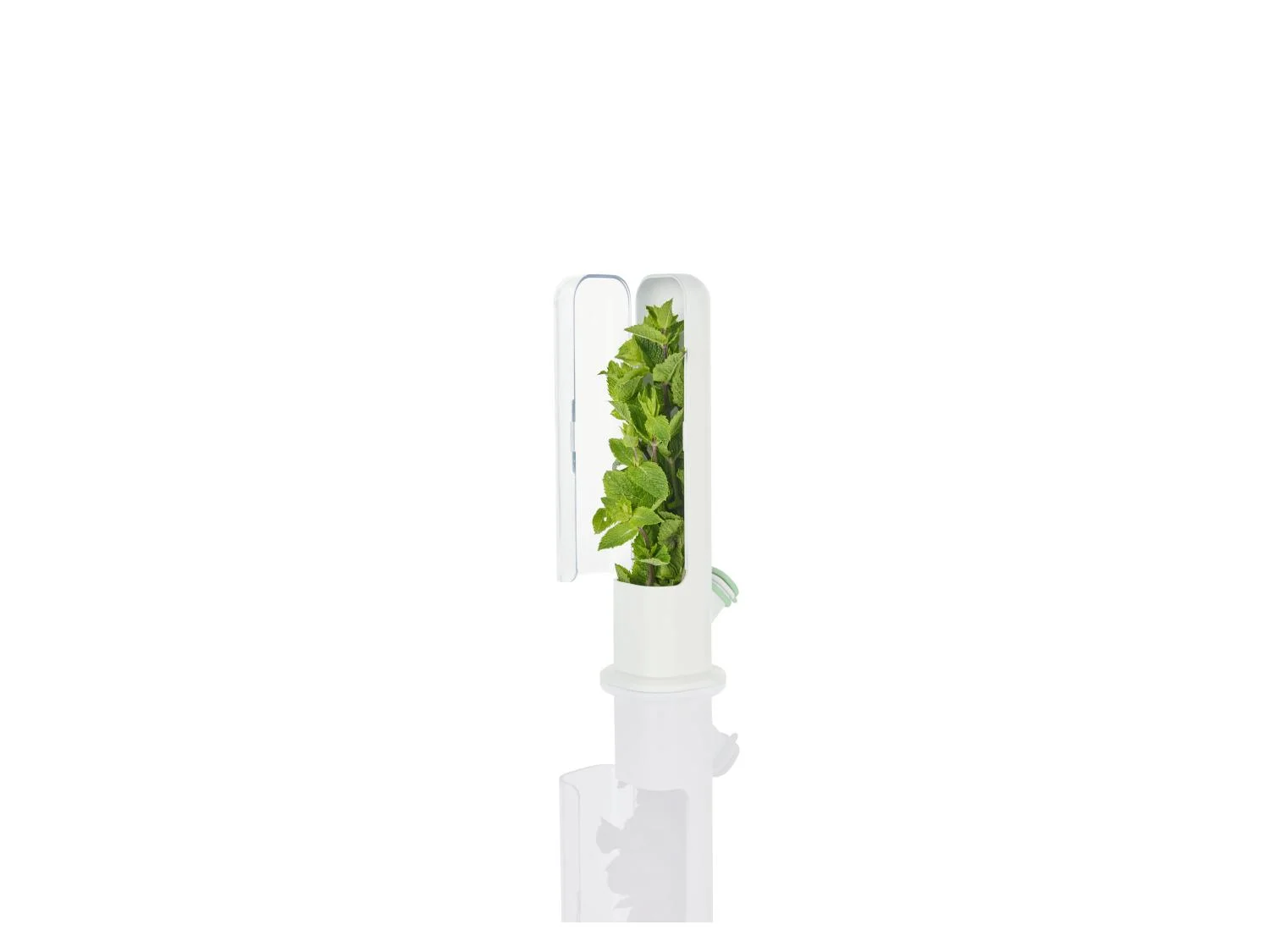 LIVARNO home Bote(s) fracheur pour herbes aromatiques