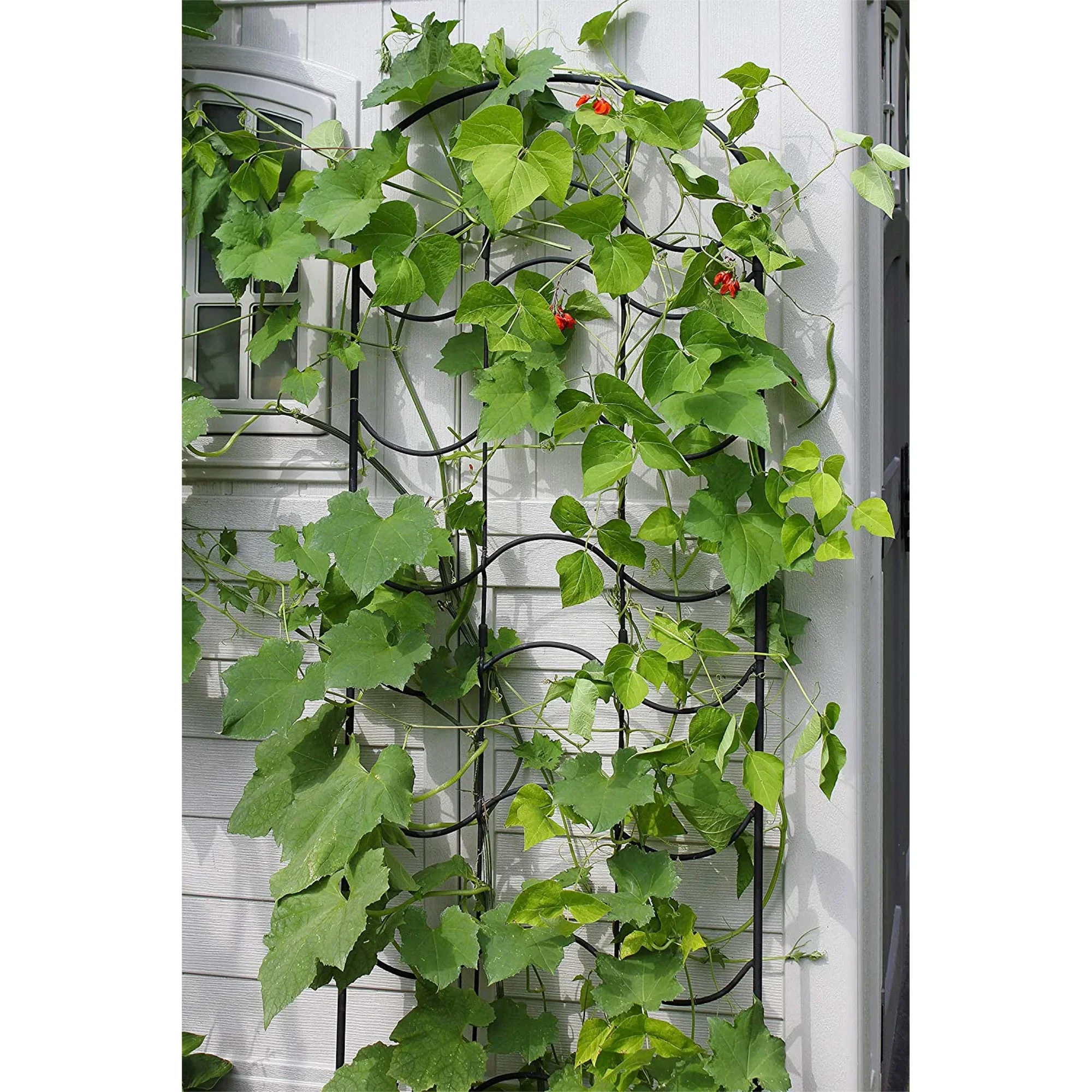 Achla Designs FT-16 77 In Waves Wrought Iron Garden Lattice Trellis, Black