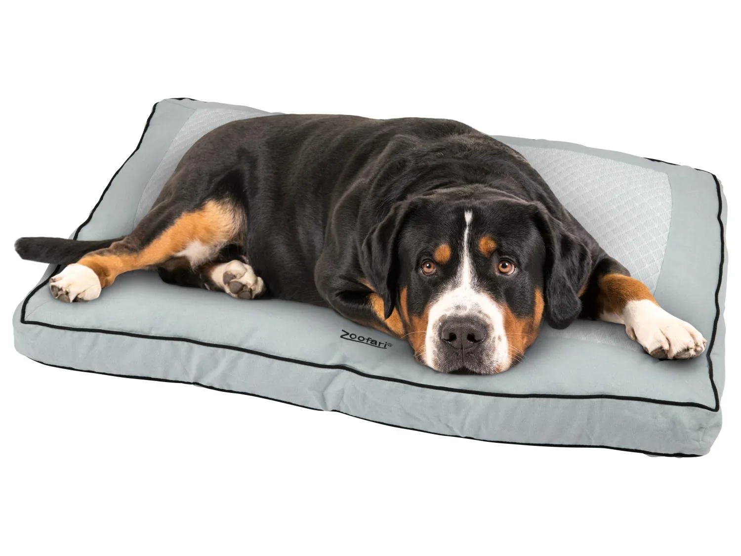 zoofari Coussin pour chien t-hiver Premium