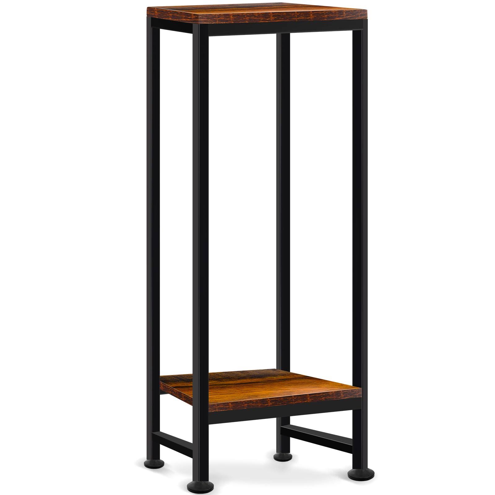 Plant Stand Indoor, Tall Plant Stands for Indoor Outdoor Plants, 2 Tier Heavy Duty Plant Shelf 31