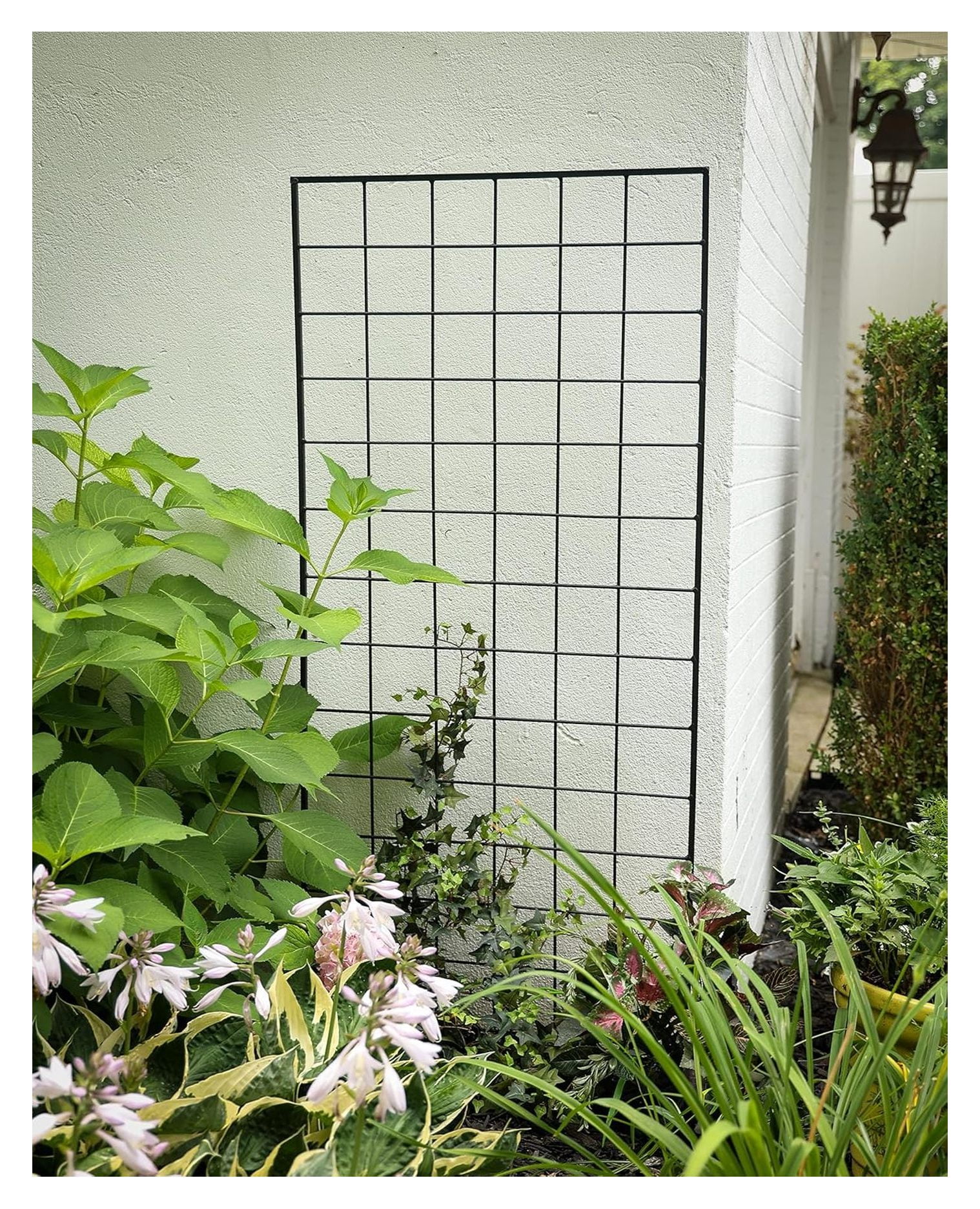 STNMB Narrow Screen Trellis, Black 64.25"H Trellis,Garden - Image 4