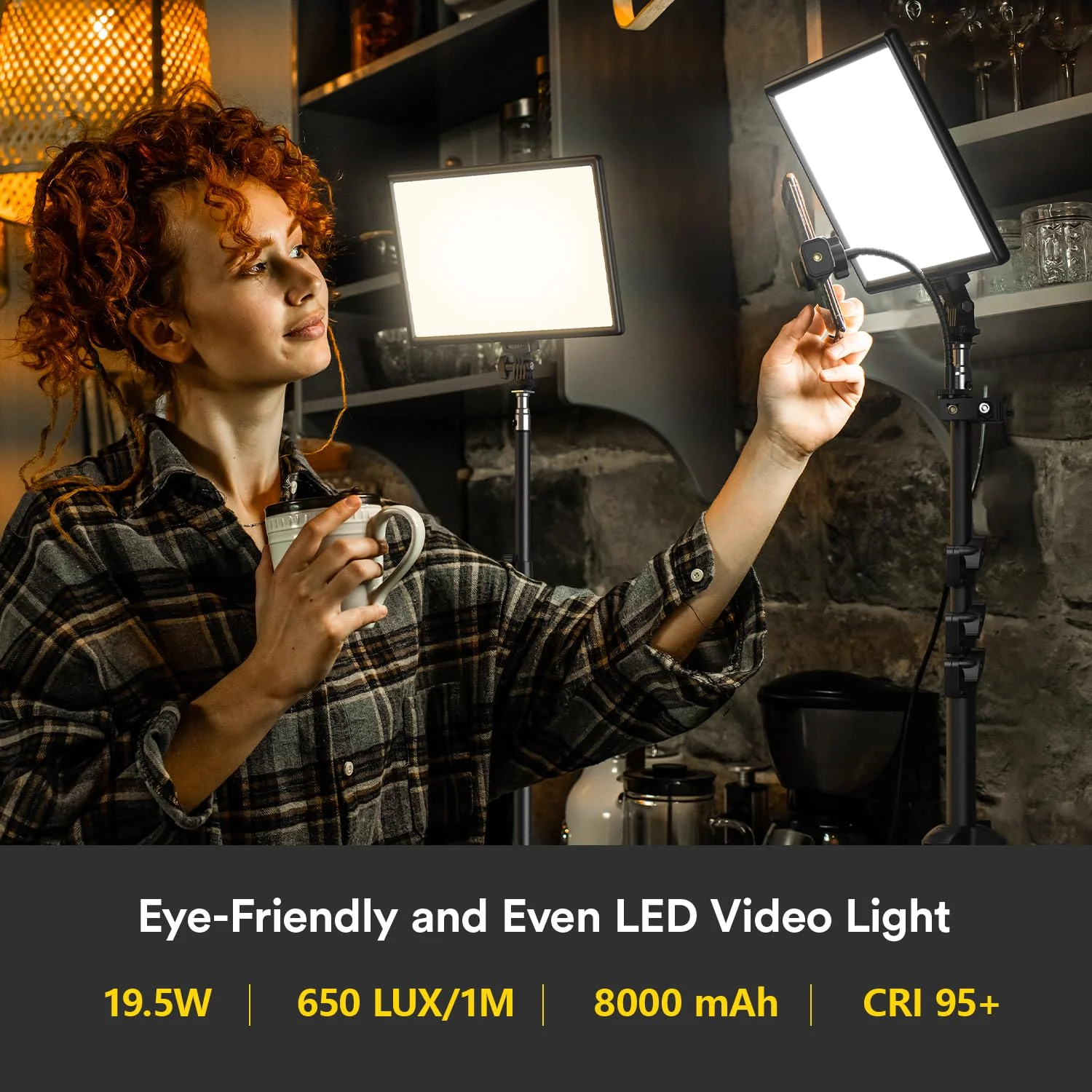 RALENO 2 Packs LED Video Light and Stand Lighting Kit
