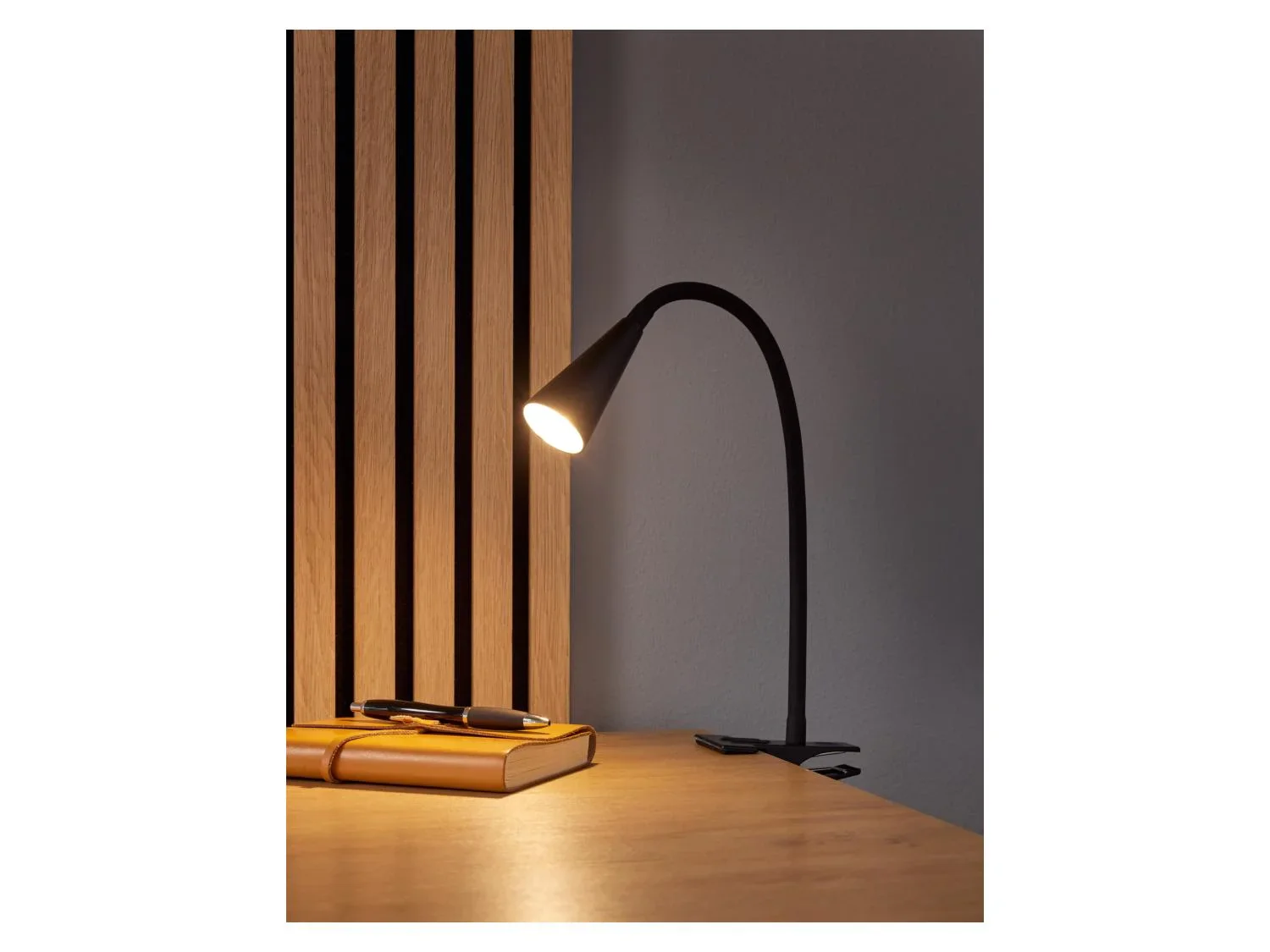 LIVARNO home Lampe LED  pince