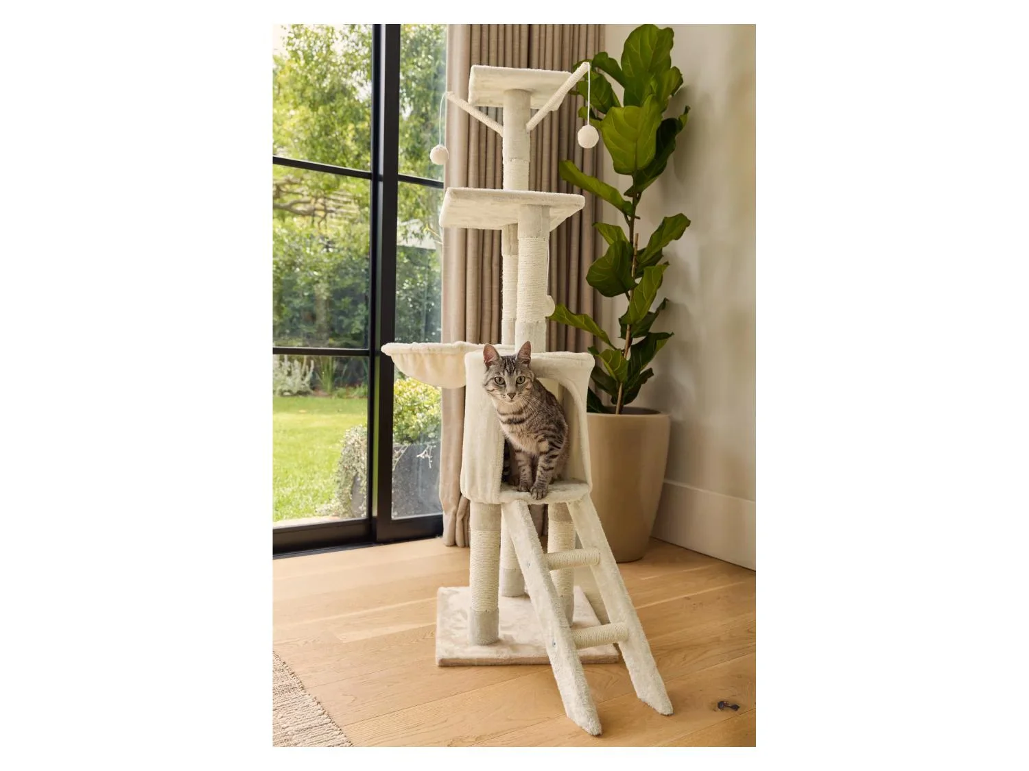 zoofari Arbre  chat, avec 5 niveaux
