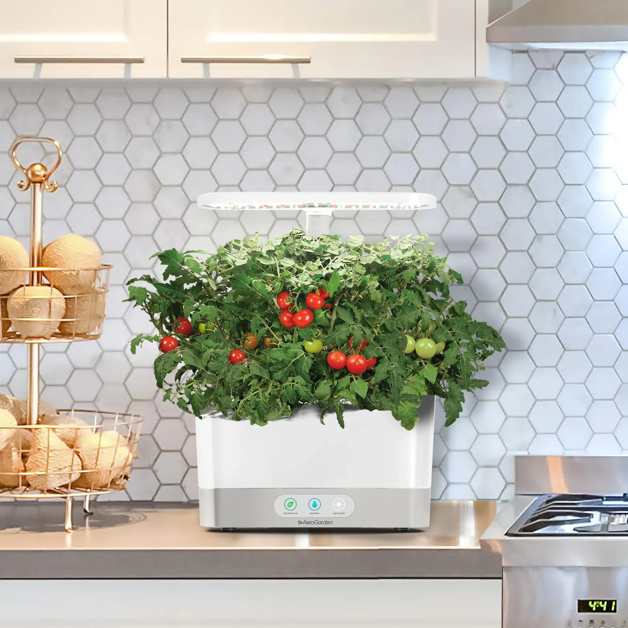AeroGarden Harvest, White with Gourmet Herbs Seed Kit