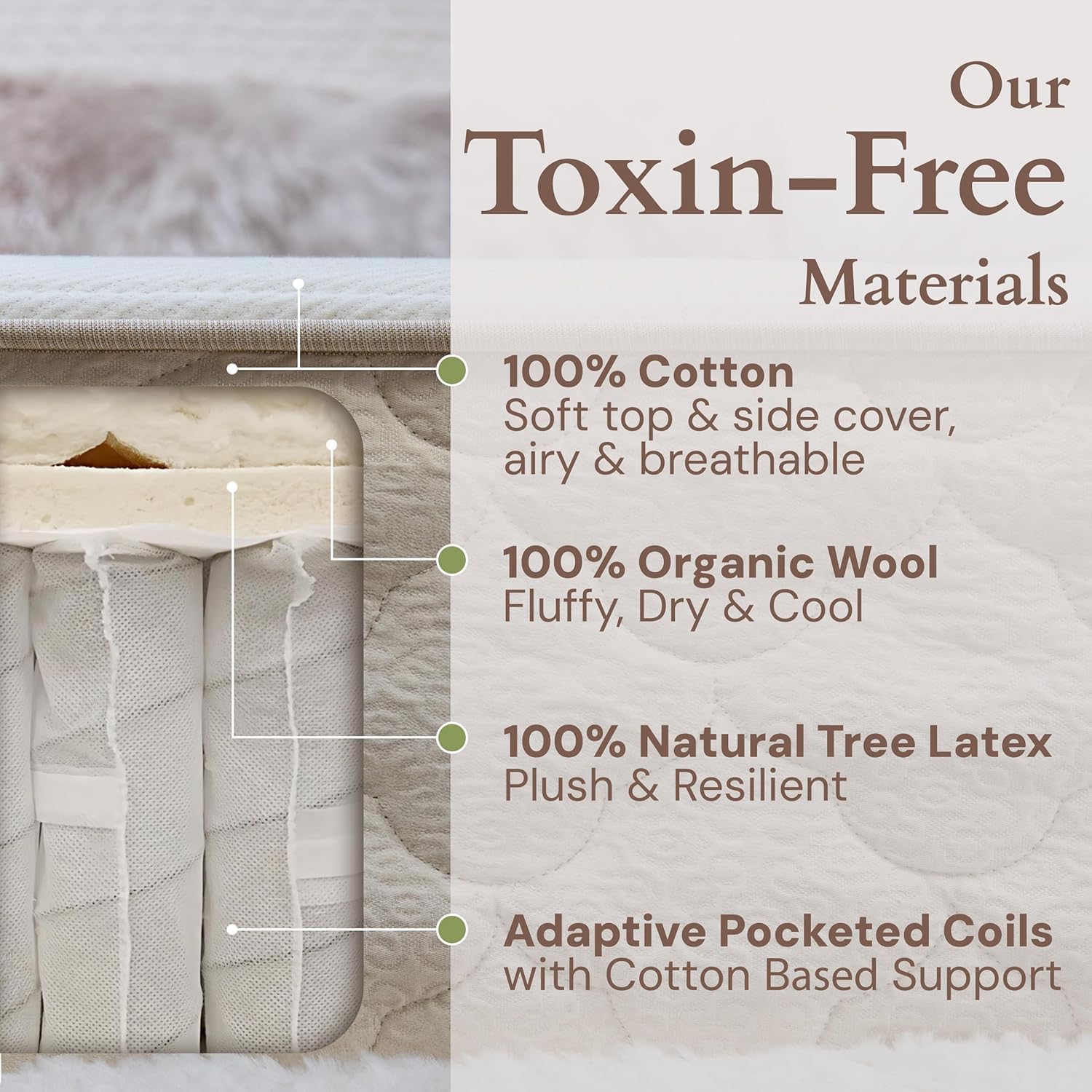 CottonSleep All Natural Mattress (100% Organic Cotton, Wool, & GOTS Latex, Made in The USA) Non Toxic, Fiberglass Free Hybrid Pocket Coil and Plush Foam Bed in A Box Medium Soft - Twin, 13
