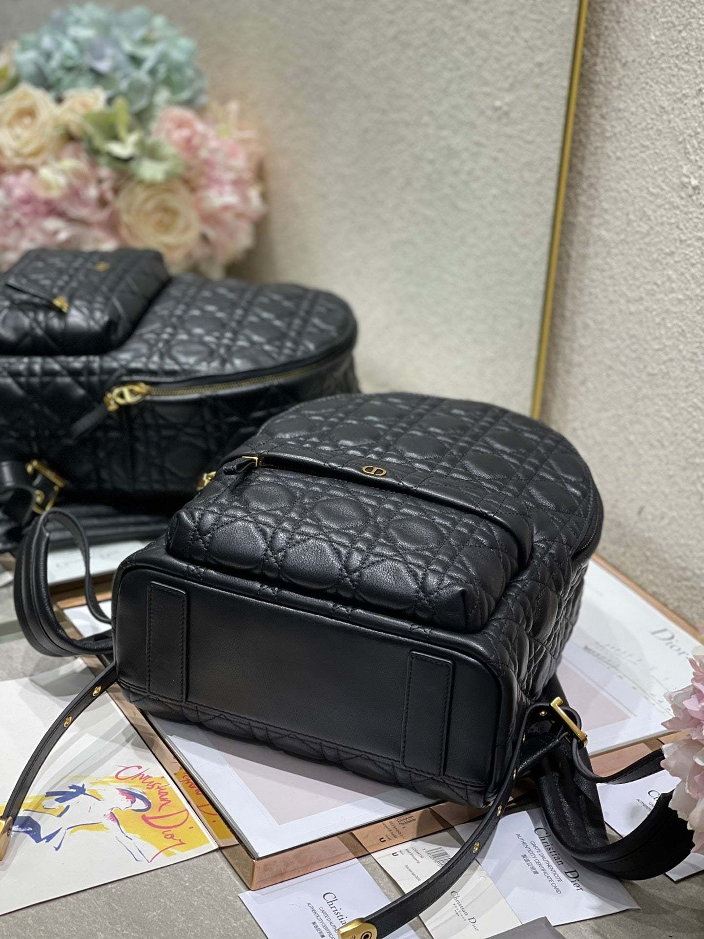 CD   Backpack