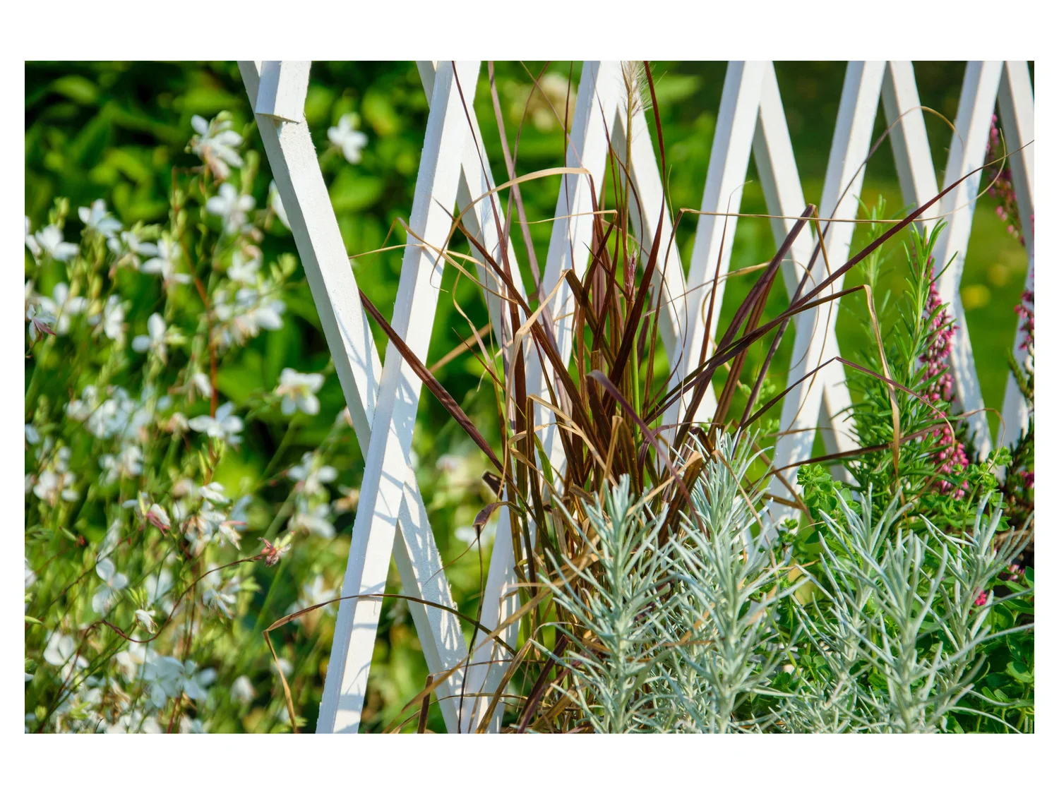 dobar Jardinire surleve  roulettes avec treillis, L 79 x l 28,5 x H130 cm