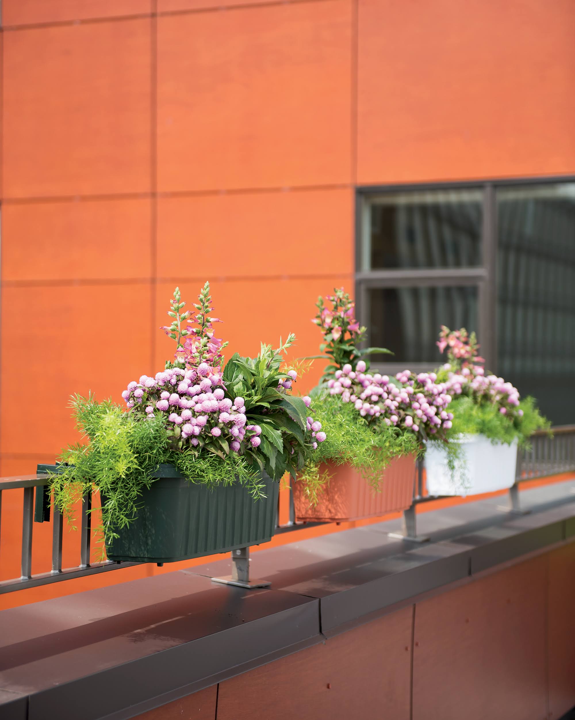 Apollo Exports International Adjustable Railing Planter, Black, 24 inch